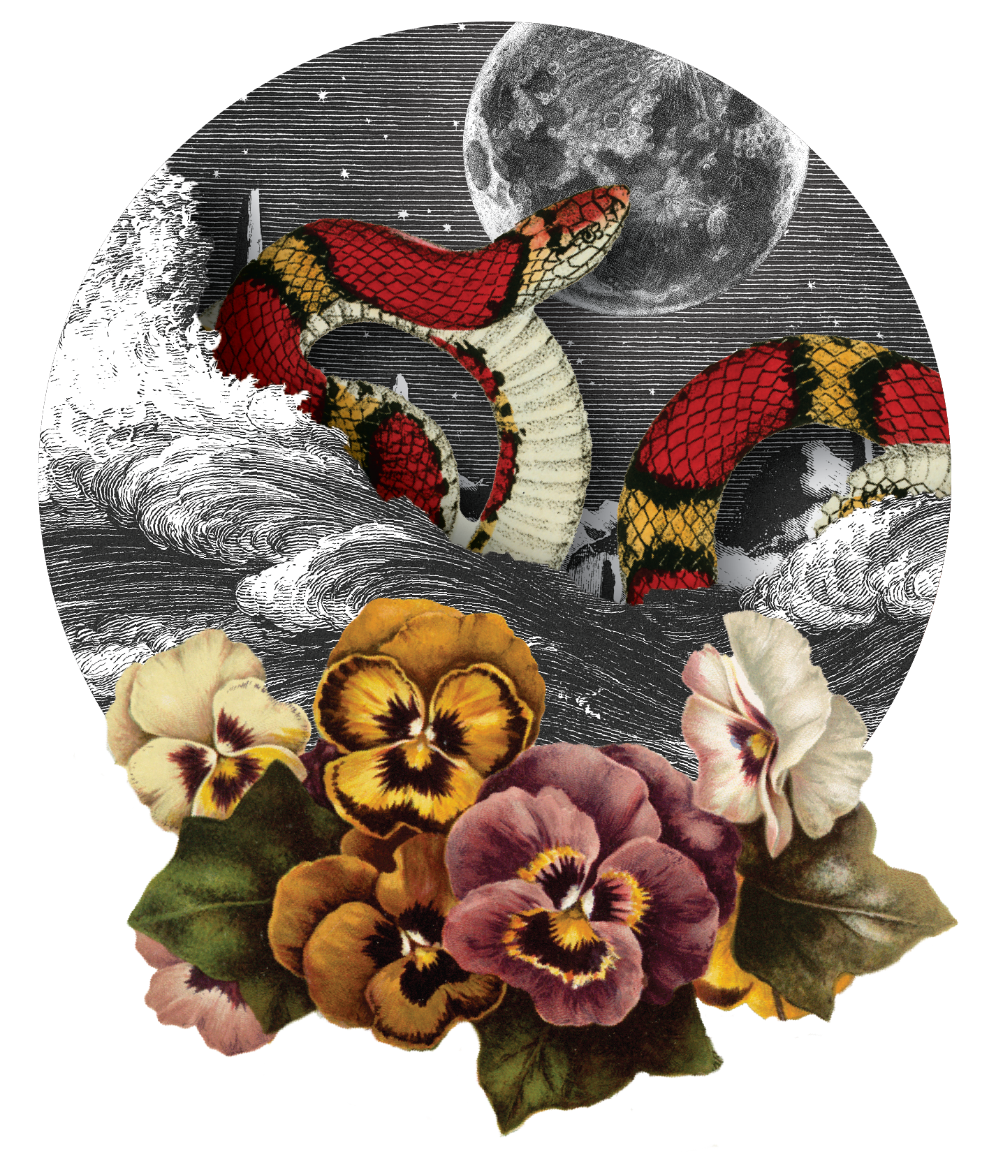 Poetry: Molting Season