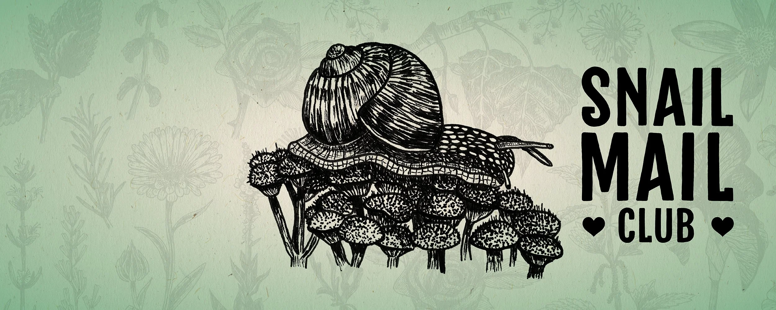 Get In, Beautiful, We’re Going Analog!