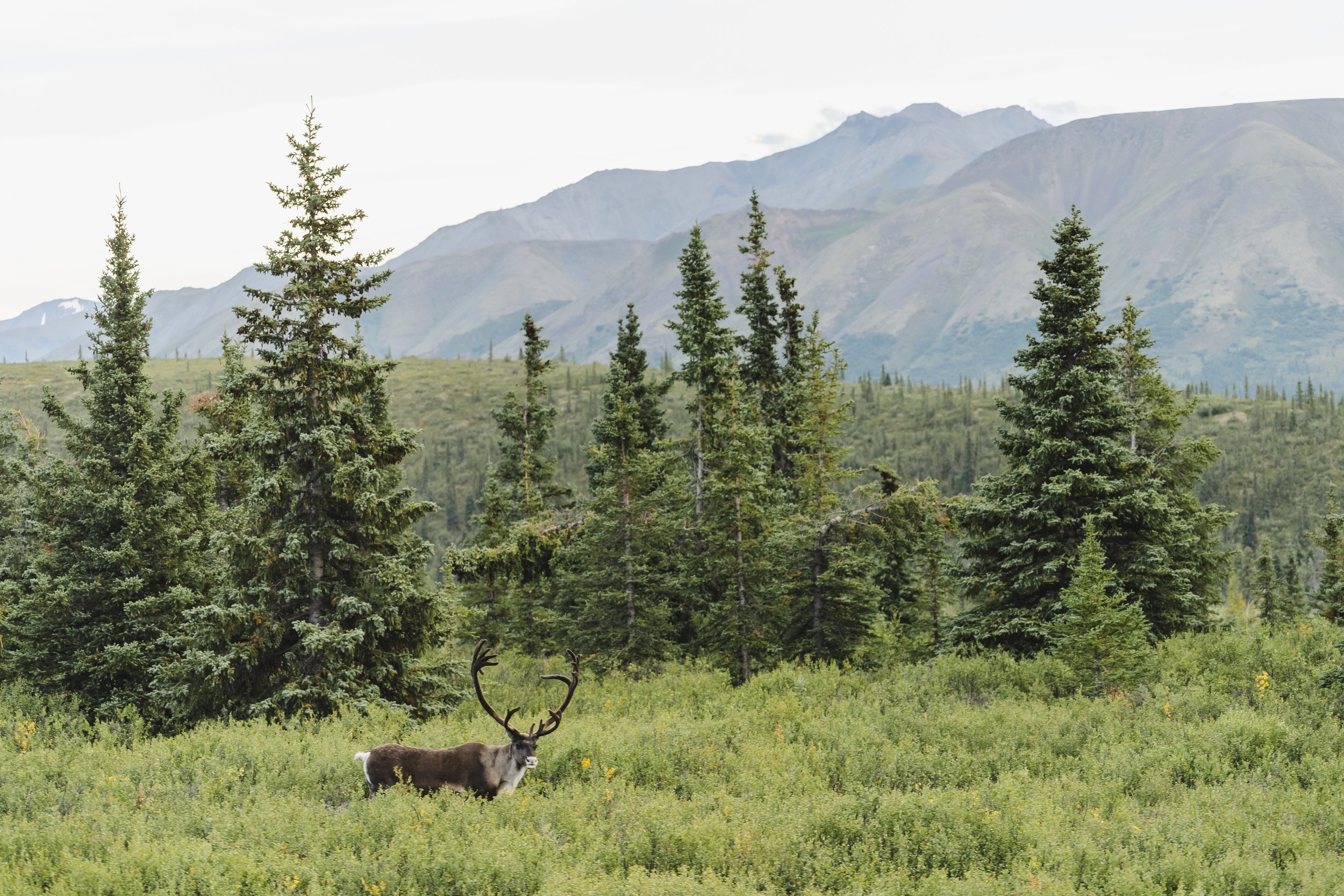 _DSC7794.jpg