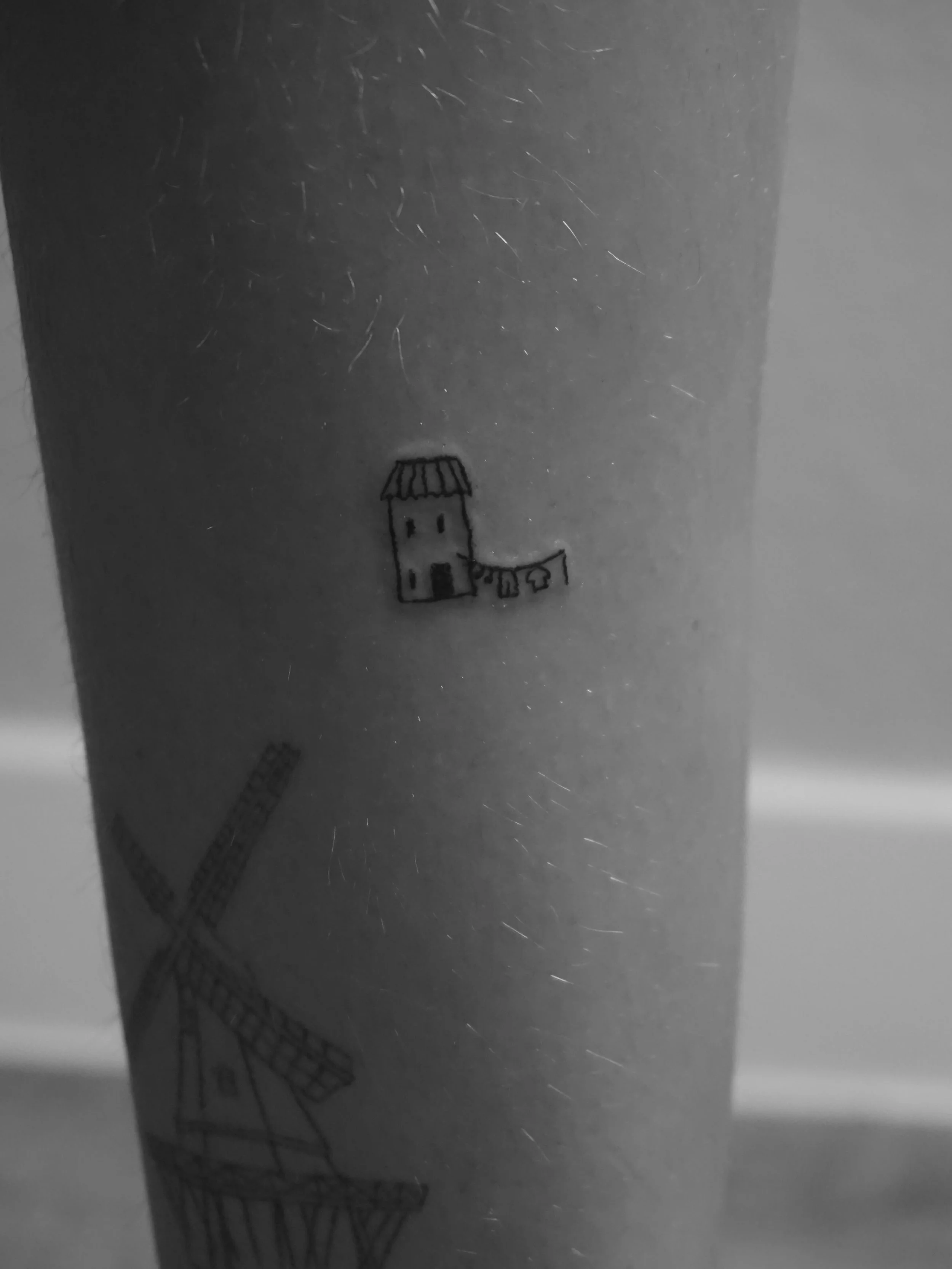 tiny house and bunch o&rsquo; carrots for Molly 

grateful for the opportunity to tattoo one of my former students and grateful for the trust and support