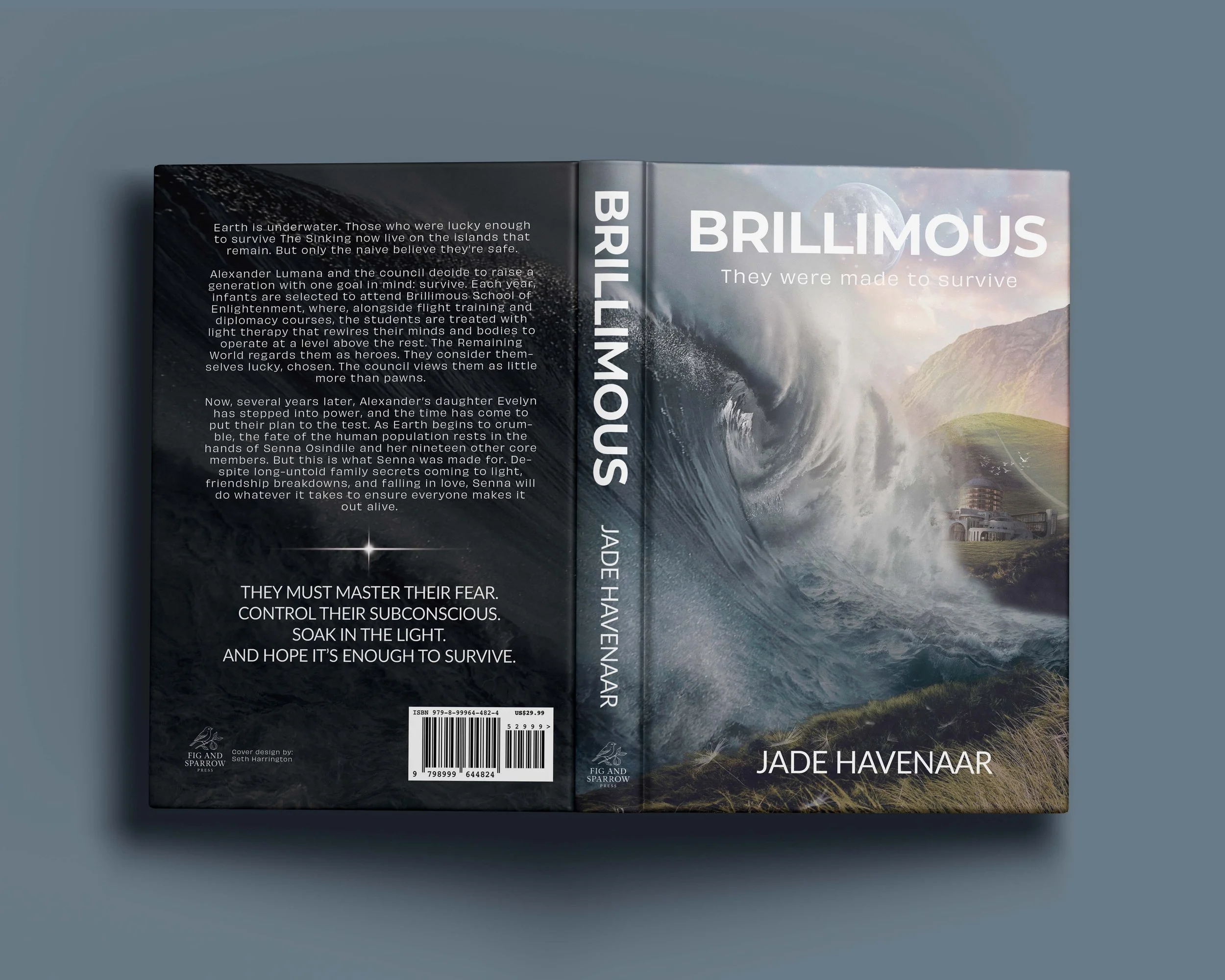 brillimus_book_cover_NEW_CITY_Mockup.jpg