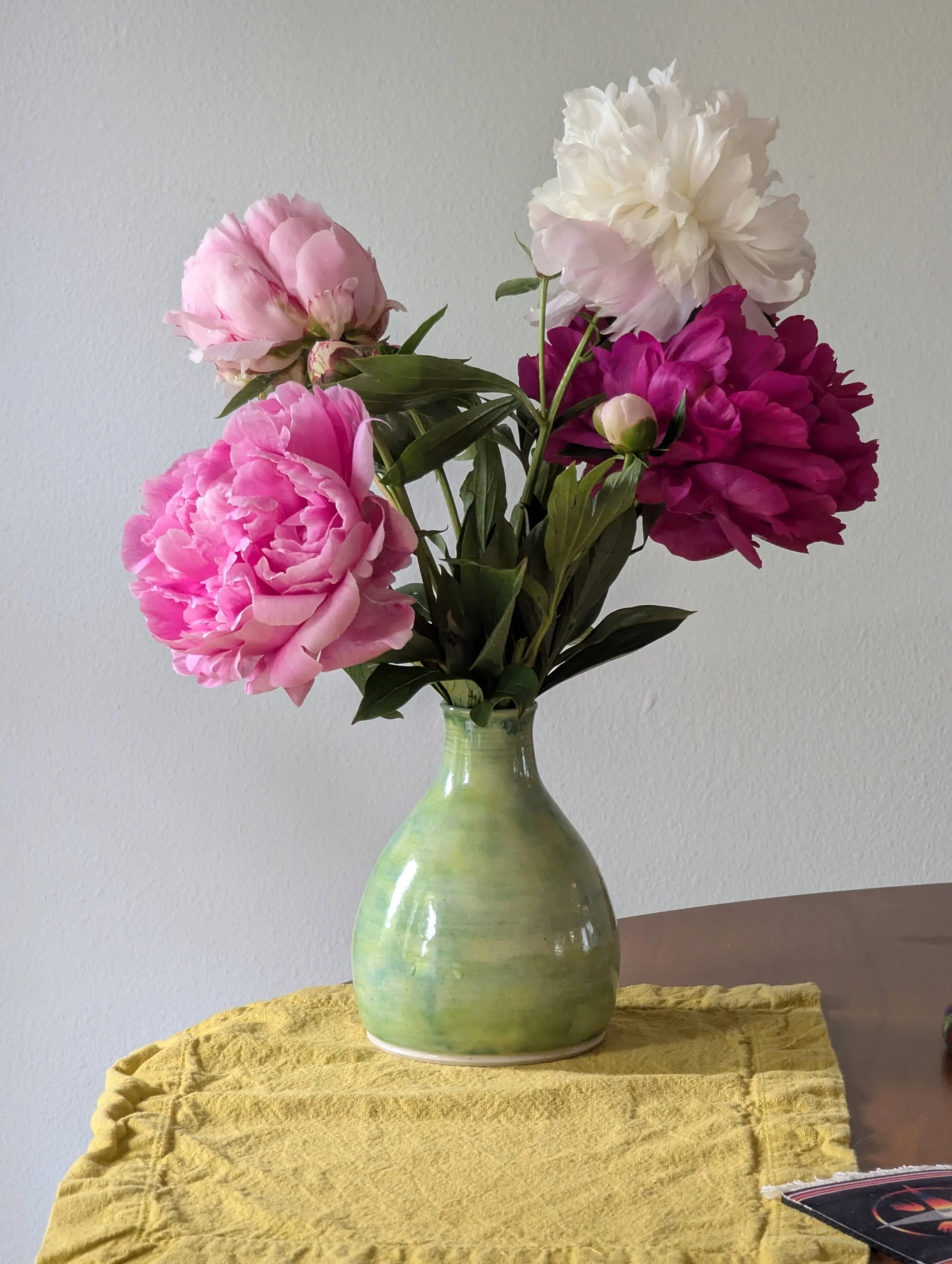 Pick of the Day 5/31/2025