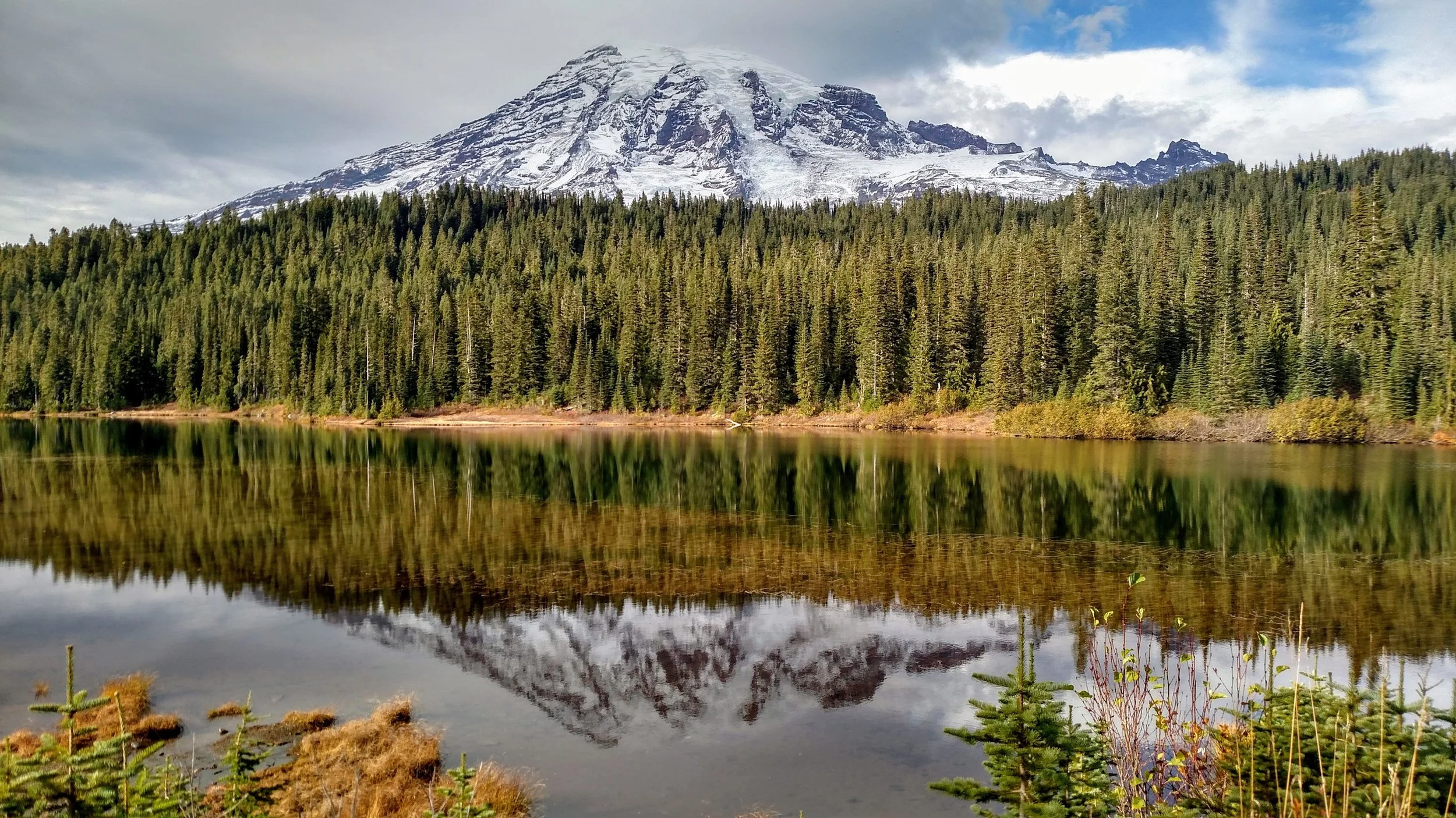 IMG_20151011_160539332_HDR.jpg