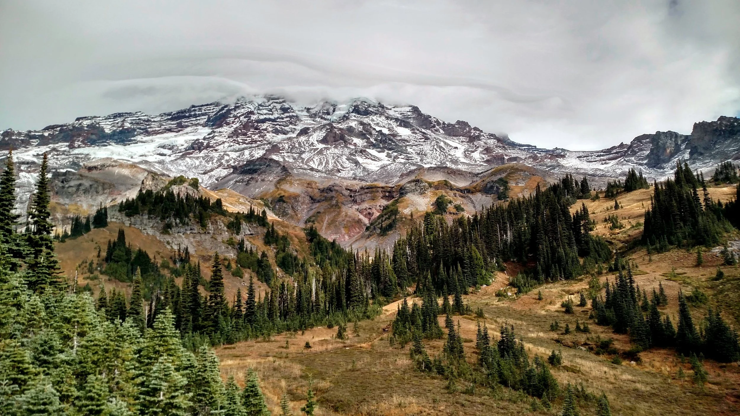 IMG_20151012_111456915_HDR.jpg