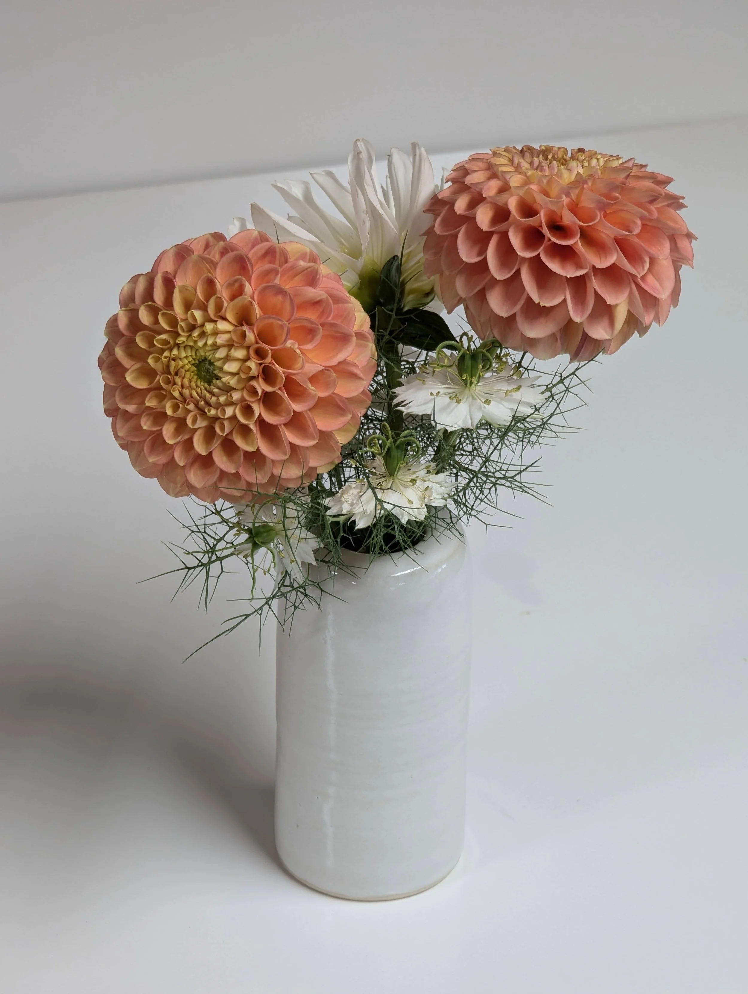 PICKS OF THE DAY (fresh cut flowers + vase)