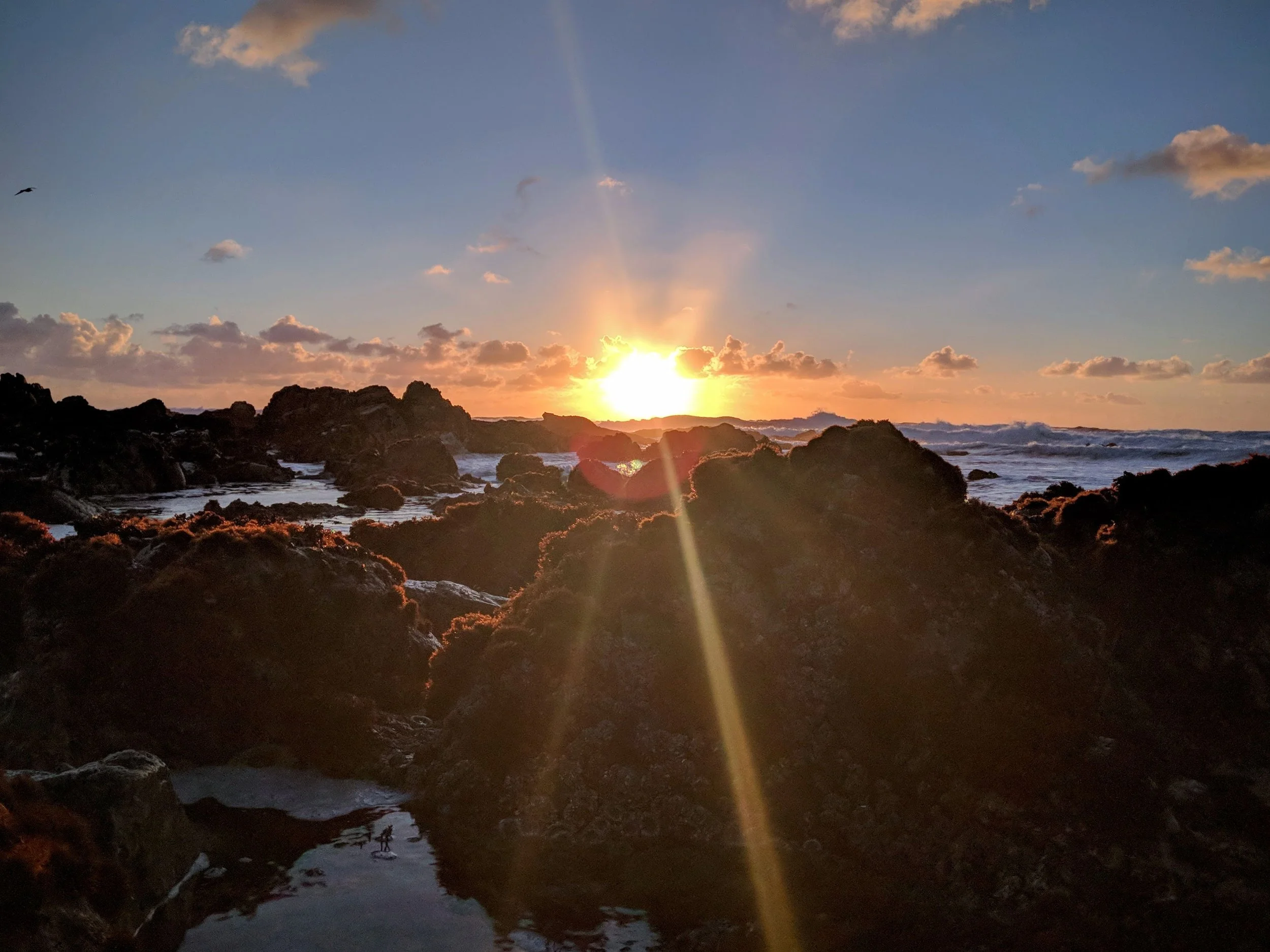 IMG_20180219_173918.jpg