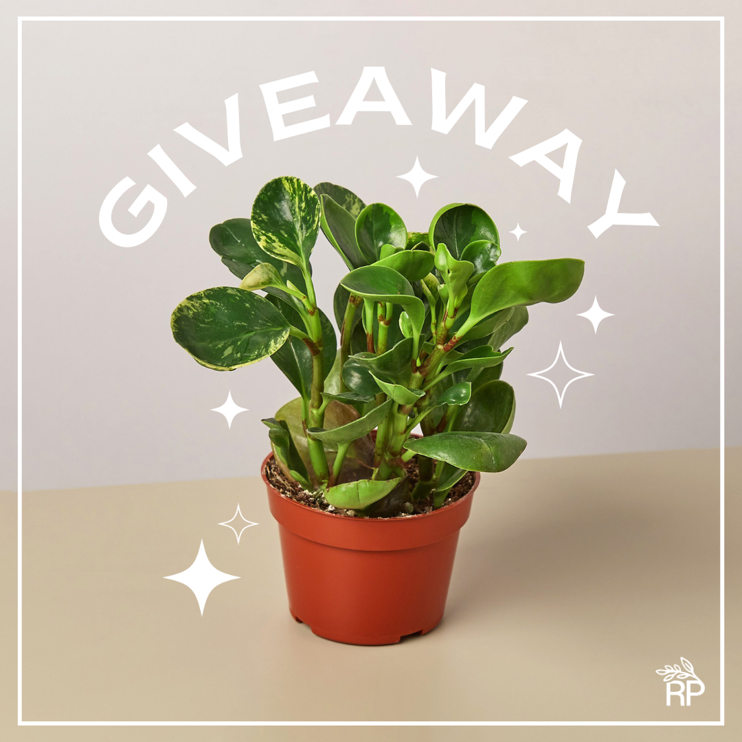 RiversPlants_DetailPage_Image-6.png
