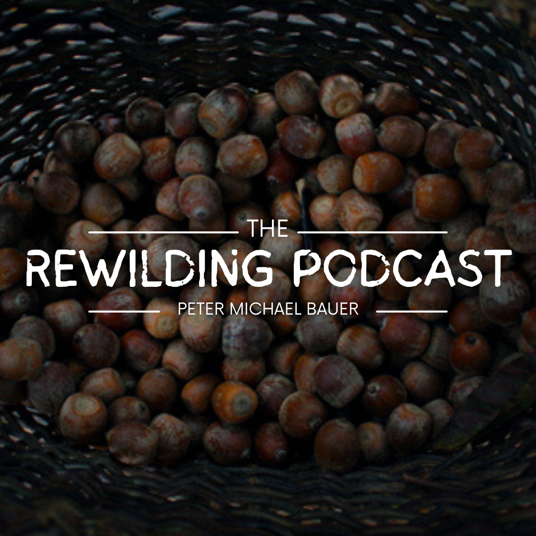 The Rewilding Podcast: An Introduction