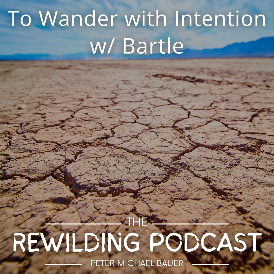 To Wander with Intention w/ Bartle