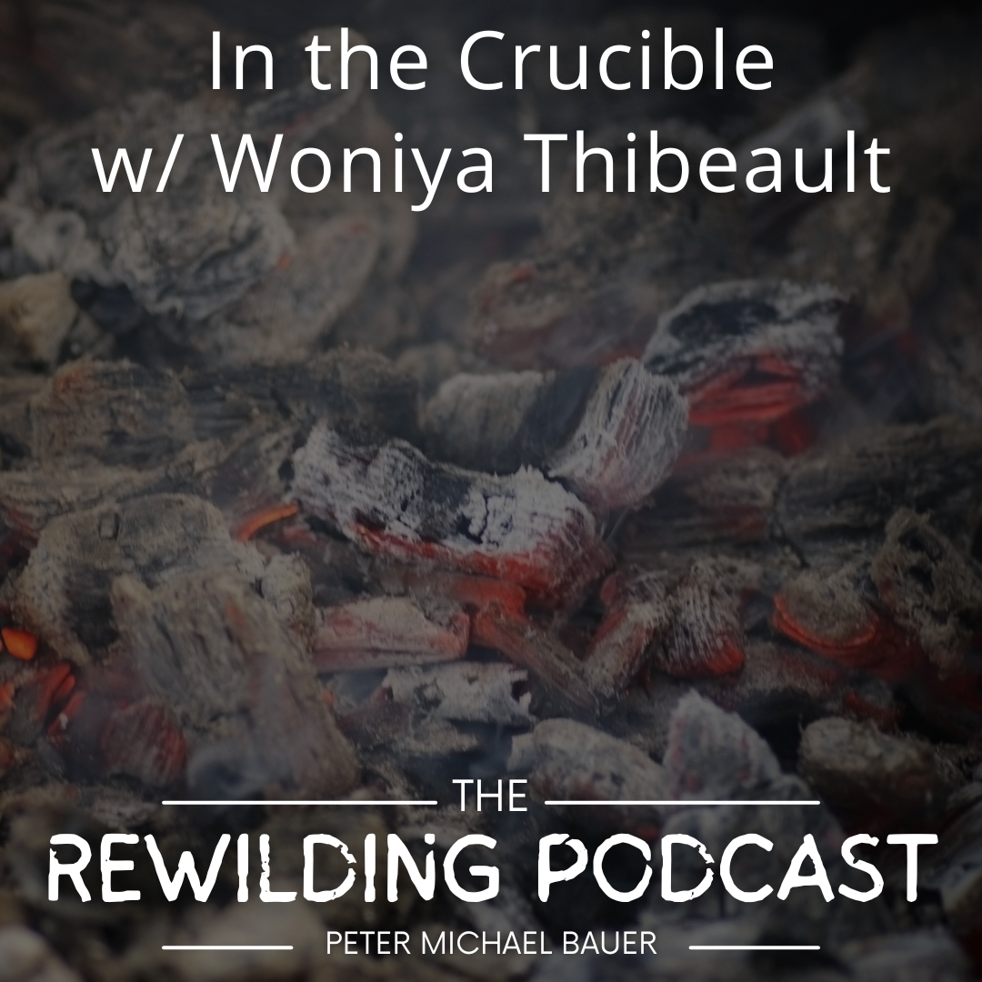In the Crucible w/ Woniya Thibeault