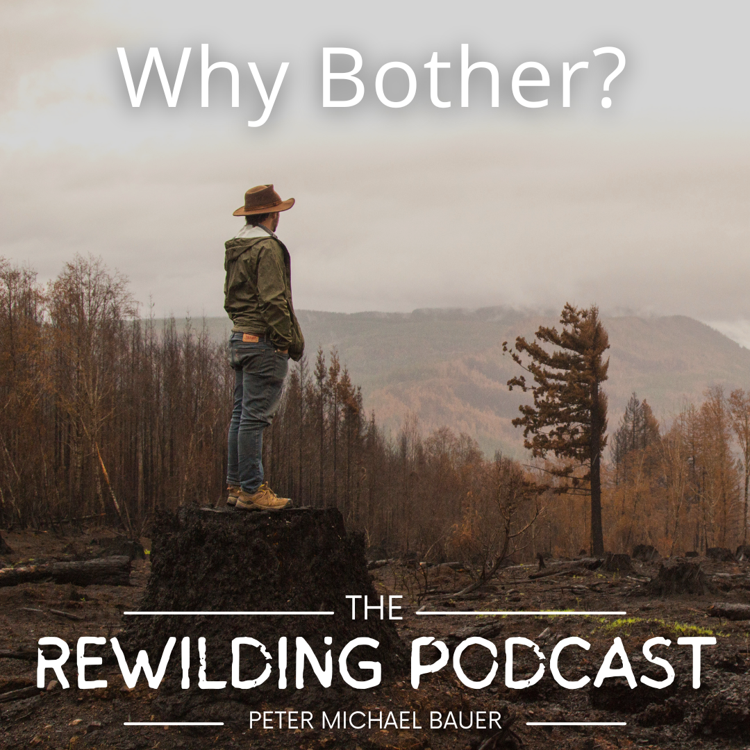 Why Bother? and Other Q&amp;A