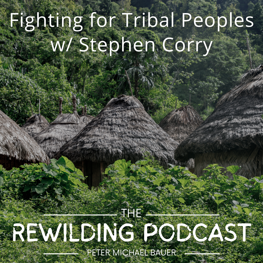 Fighting for Tribal Peoples w/ Stephen Corry