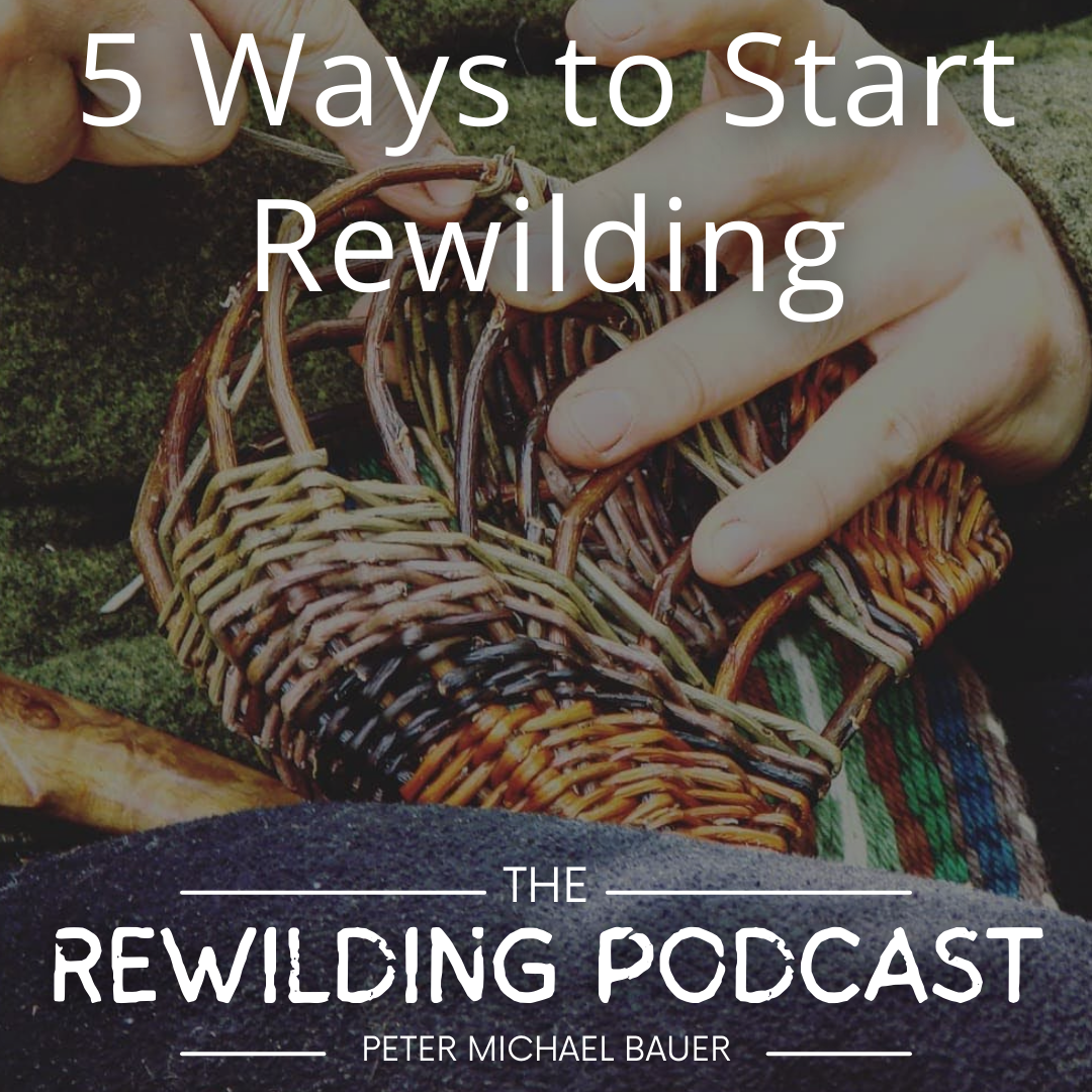 5 Ways to Start Rewilding