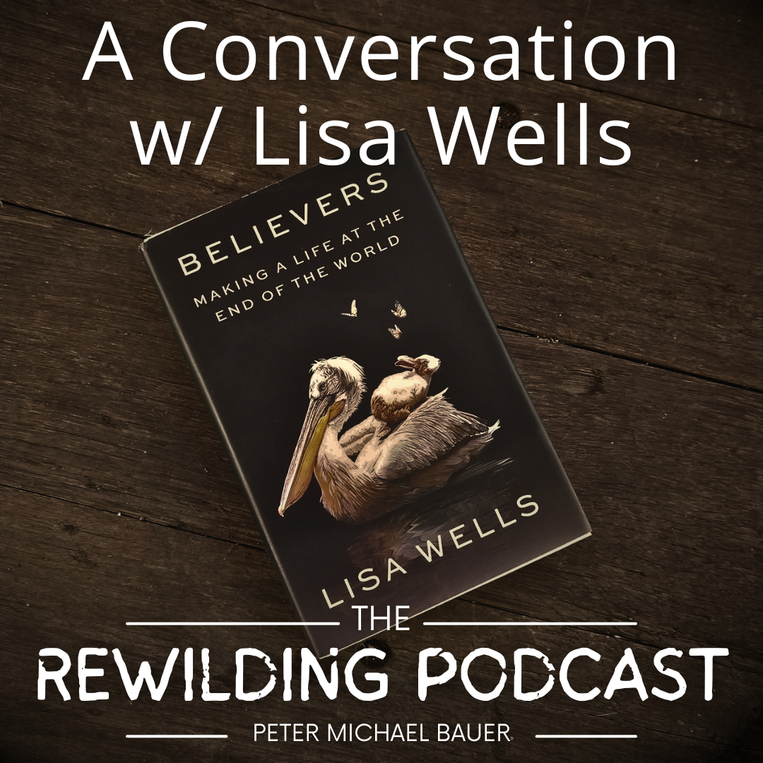 A Conversation w/ Author Lisa Wells