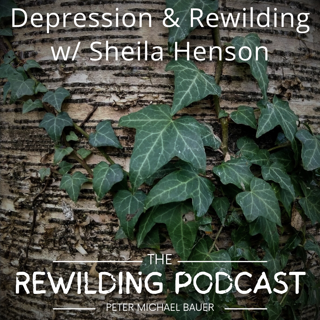 Depression &amp; Rewilding w/ Sheila Henson