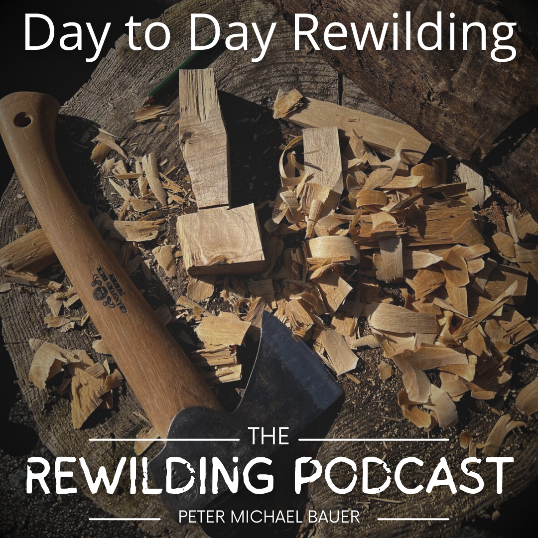 Day to Day Rewilding