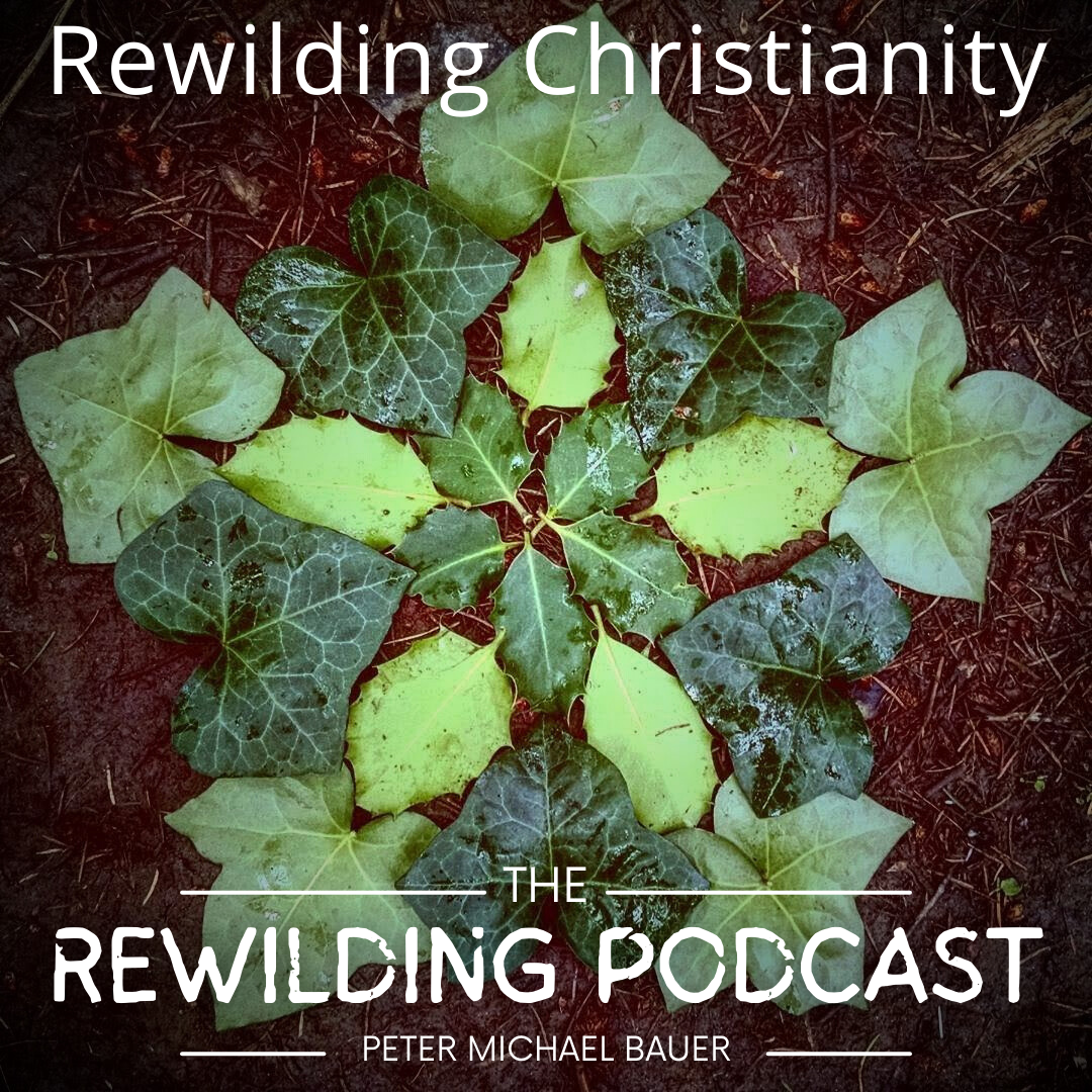 Rewilding Christianity