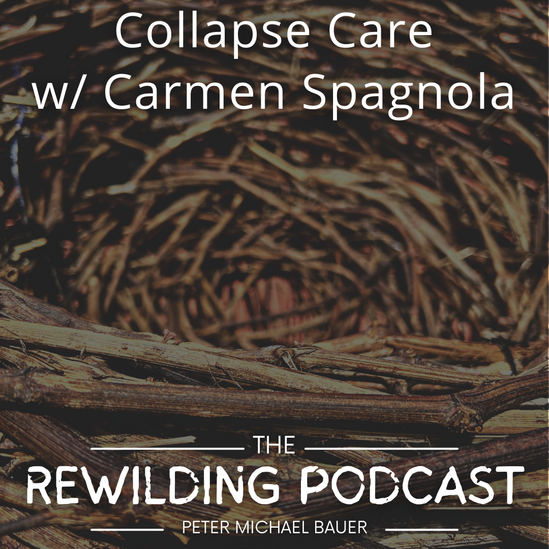 Collapse Care w/ Carmen Spagnola