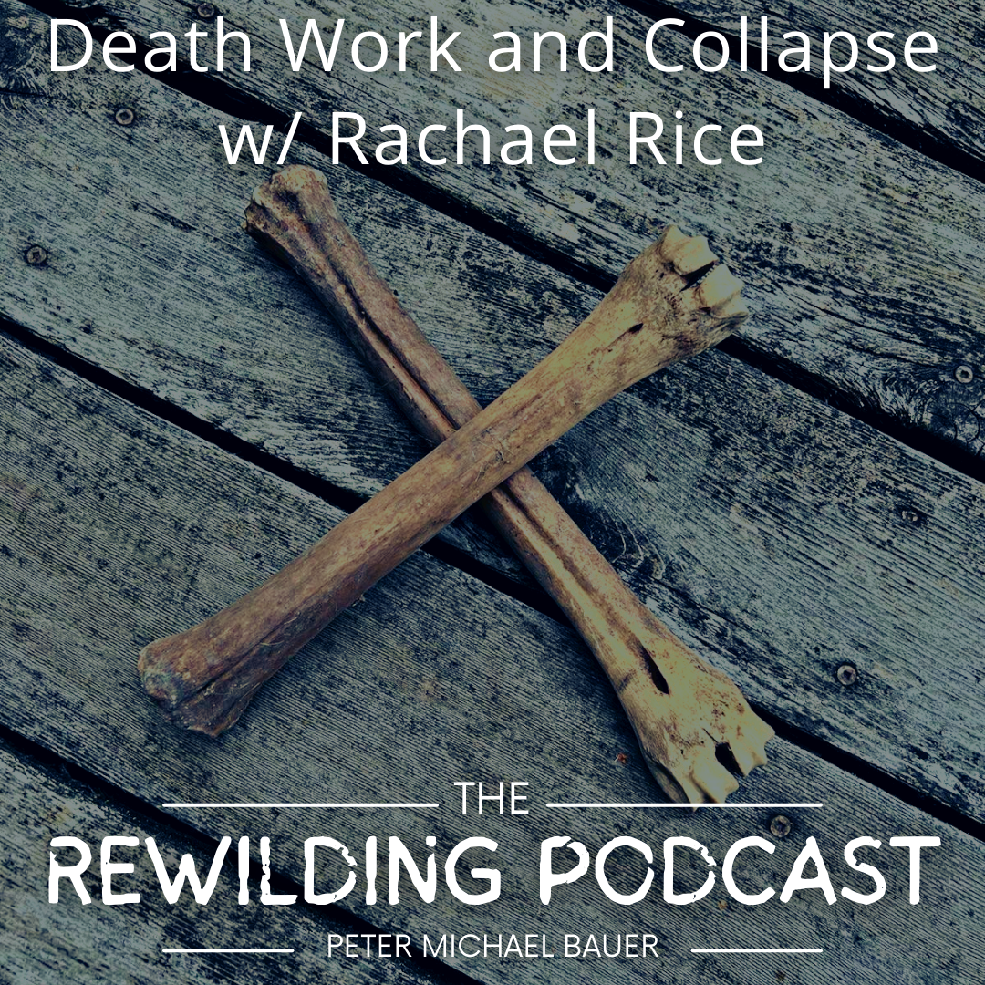 Death Work and Collapse w/ Rachael Rice