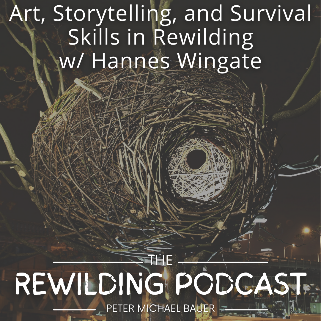 Art, Storytelling, and Survival Skills in Rewilding w/ Hannes Wingate