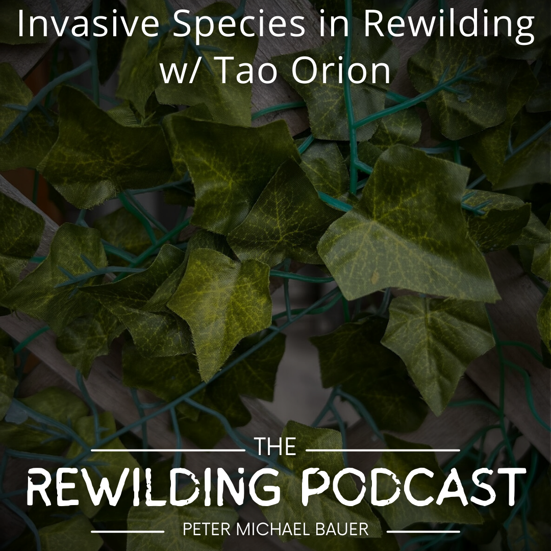 Invasive Species in Rewilding w/ Tao Orion