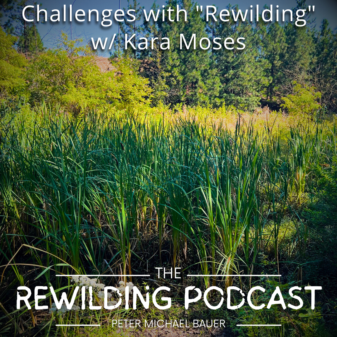 Challenges with "Rewilding" w/ Kara Moses