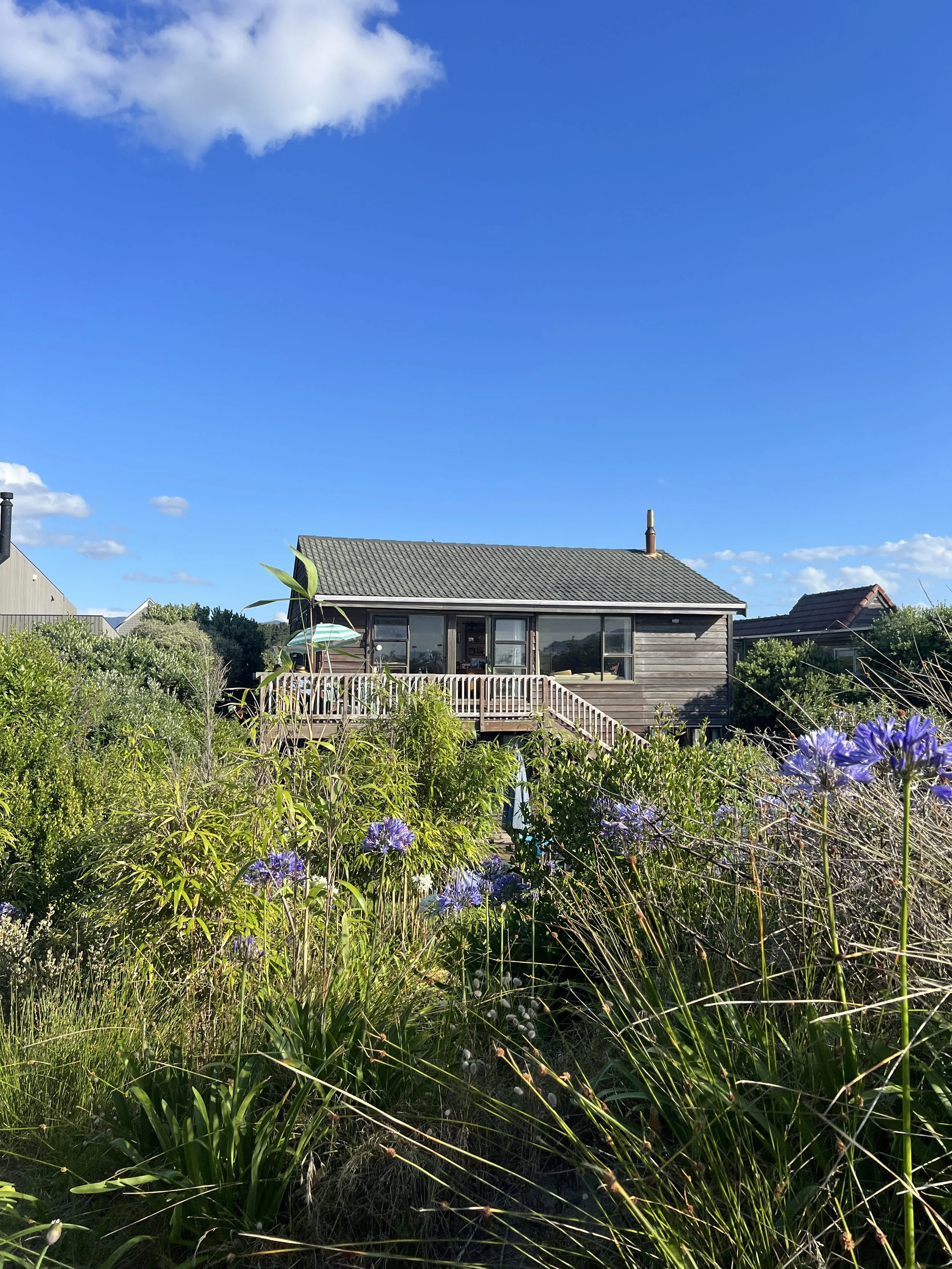 A house on a hill surrounded by green bushes and purple flowers, with a wooden deck and stairs leading up to the house, under a clear blue sky.