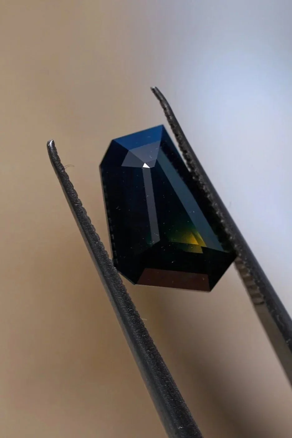 SKMT0237_3.67Ct_$2,569