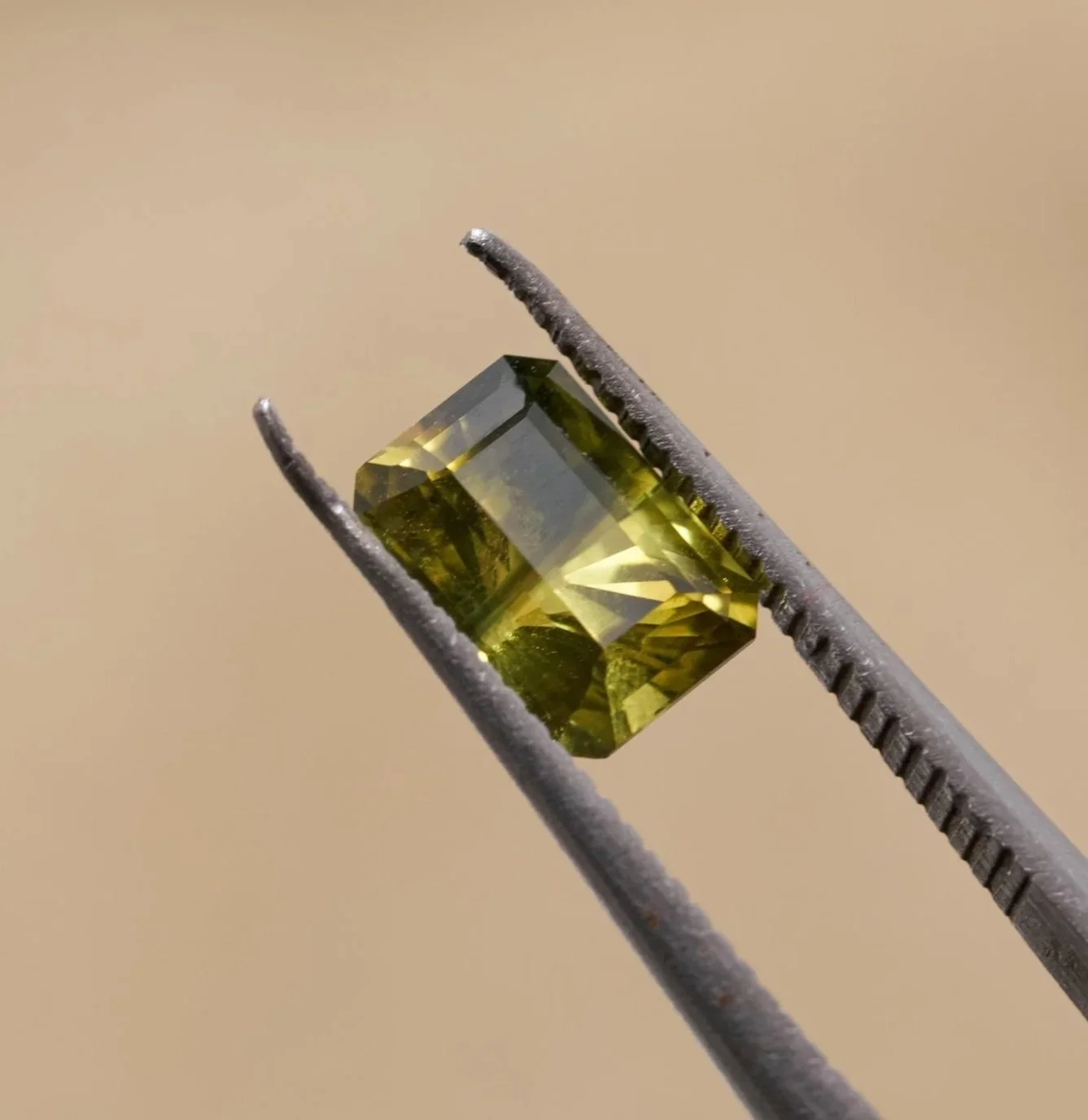 NDAT0290_ 1.185Ct _ $1482 _ Parti _ Emerald 
