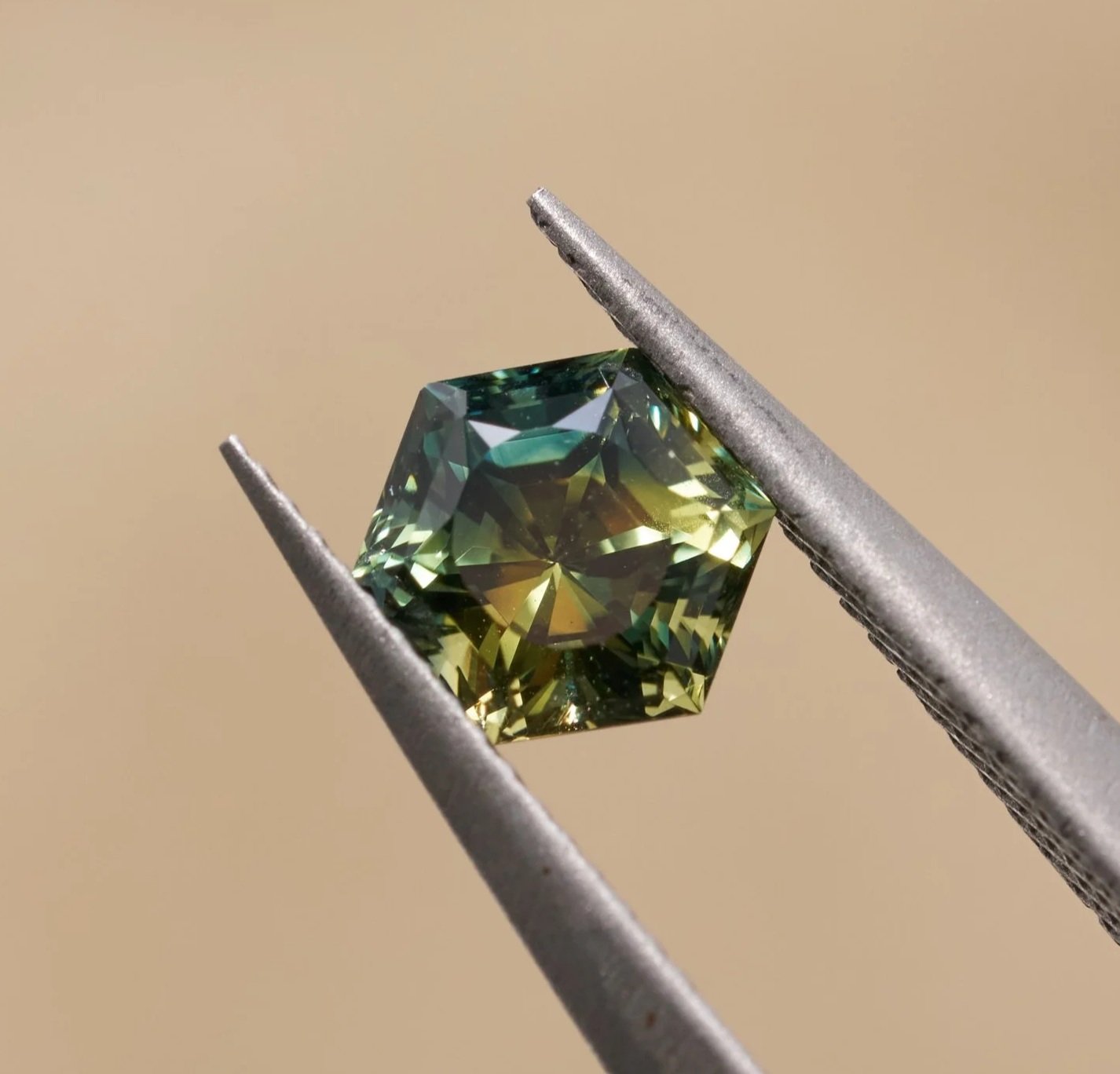 NDMG0294_ 1.05Ct _ $1313 _ Parti_Wattle _ Hexagon 