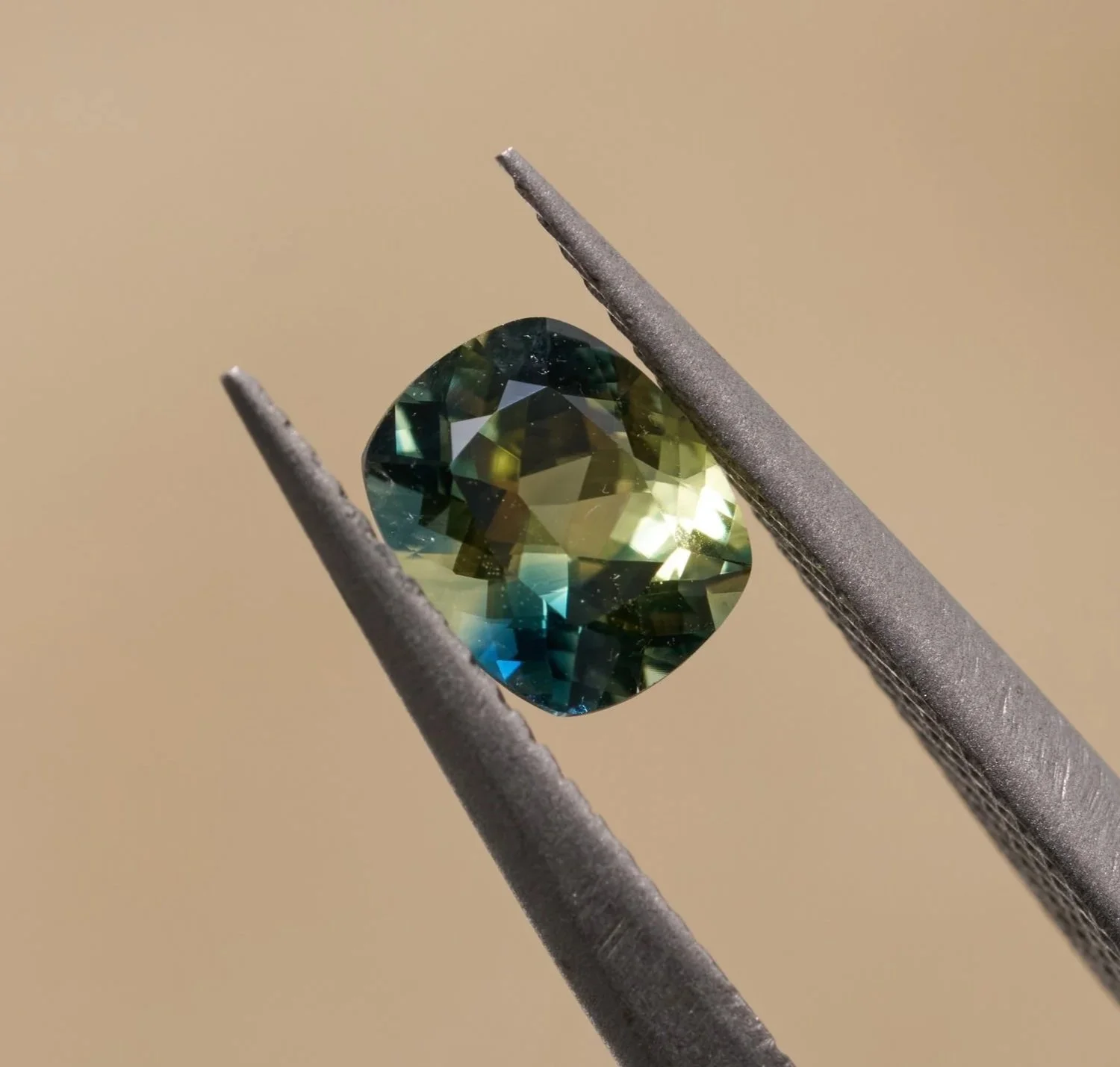 NDMG0343_ 0.8Ct _ $600 _ Parti _ Cushion 