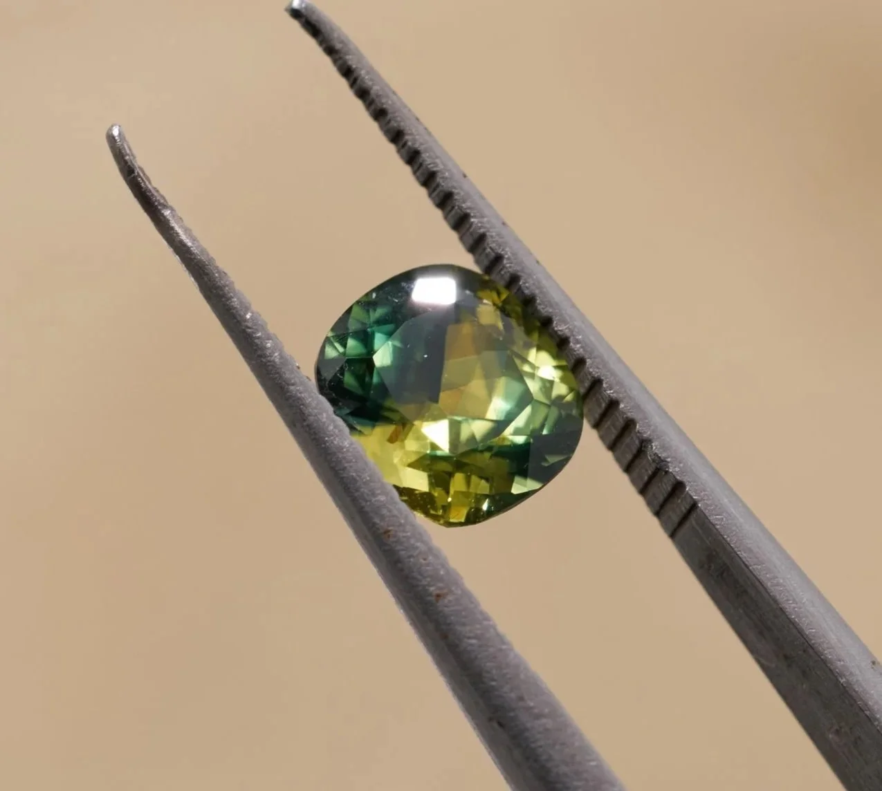NDMG0359_ 0.9Ct _ $900 _ Parti _ Cushion 