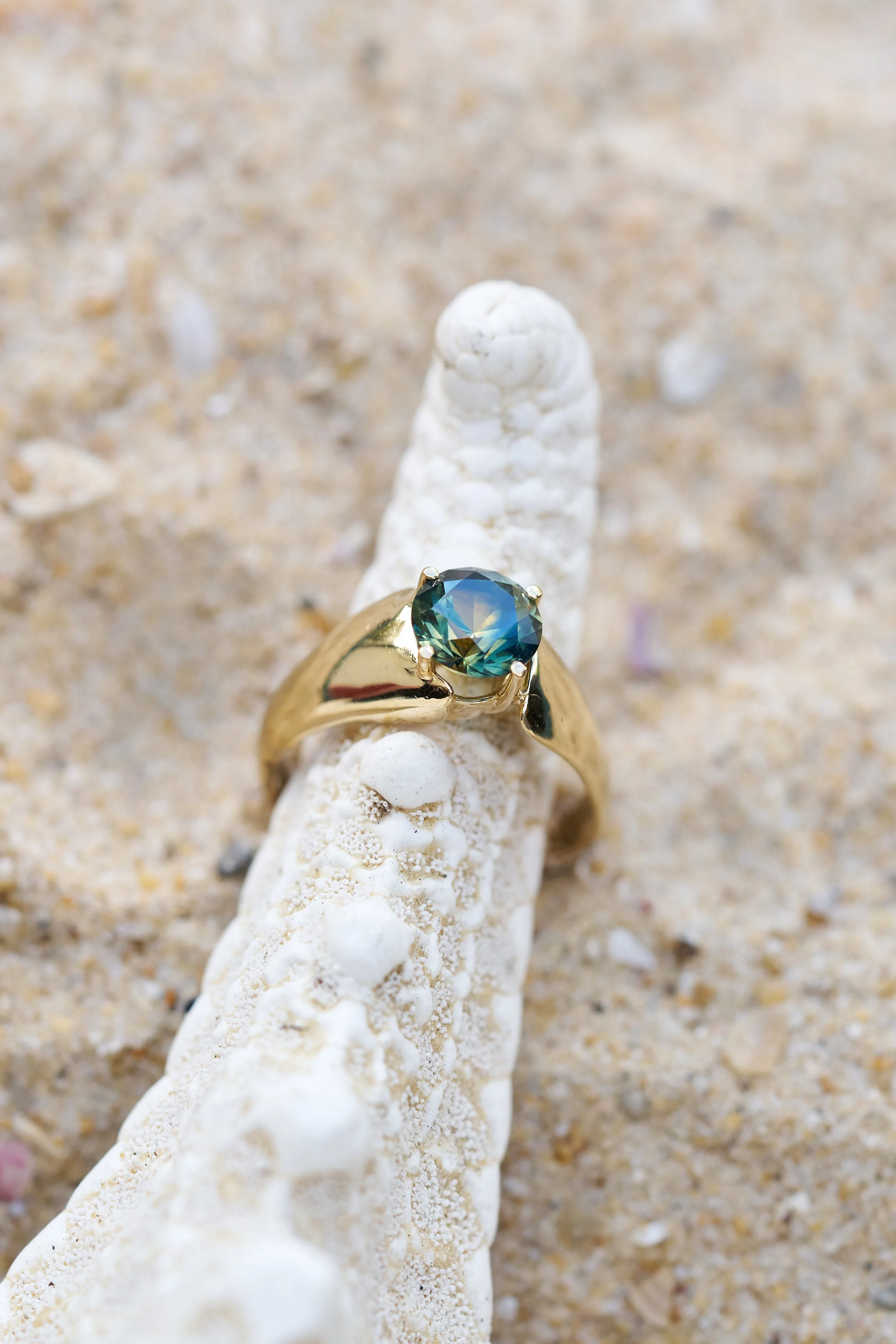 Golden ring with multi-coloured sapphire presented on arm of starfish