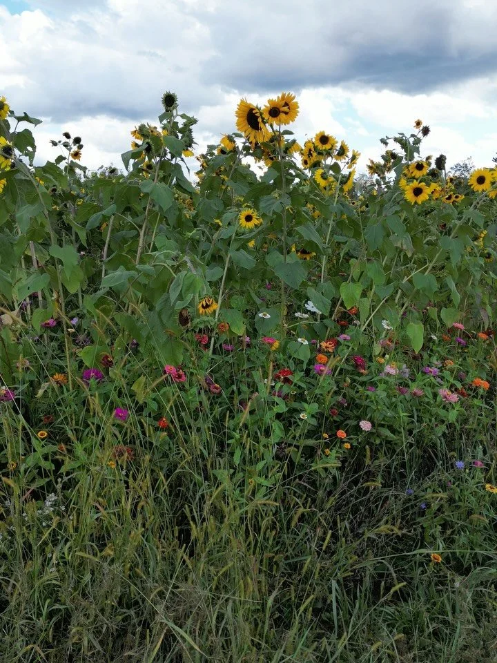 ✨ happy new year, slow fashion lovers! 

we still can&rsquo;t believe how beautiful 2025 was, and we&rsquo;re stoked for 2026. we&rsquo;ve already started planning and expansion is on the horizon.

stay tuned, we have SO MUCH in store for you! 💫 

#