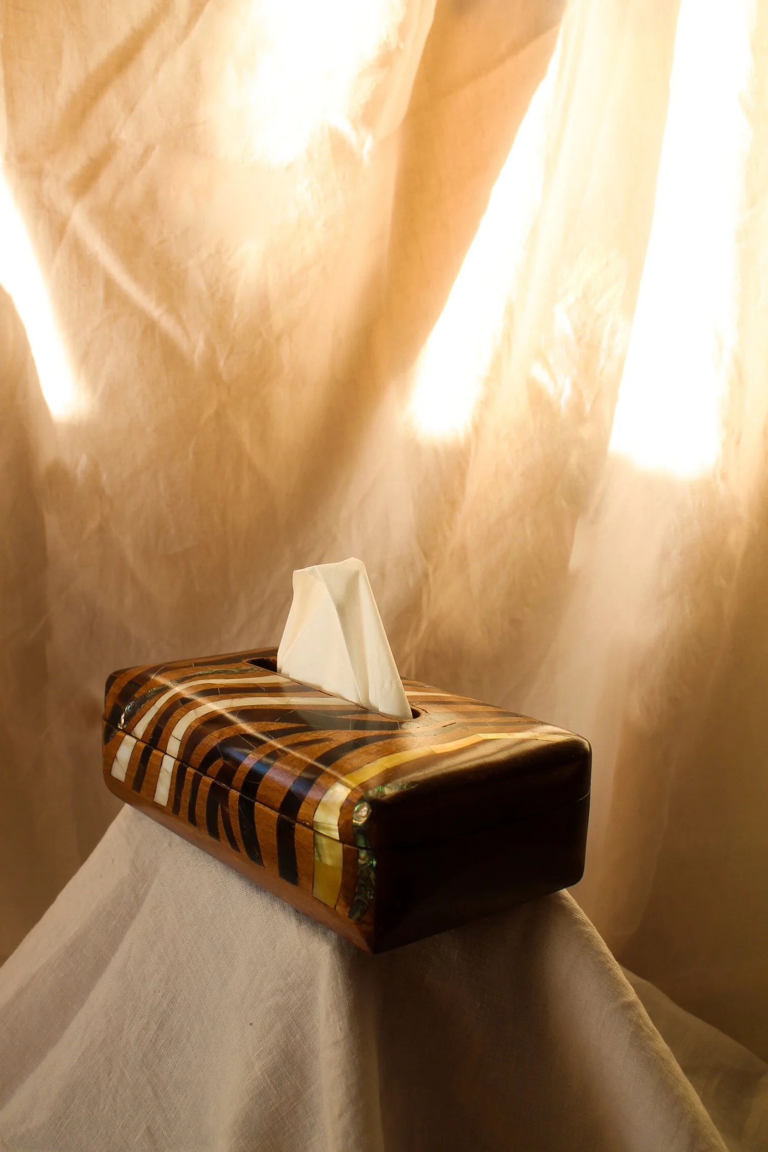 Zebra Print Tissue Box