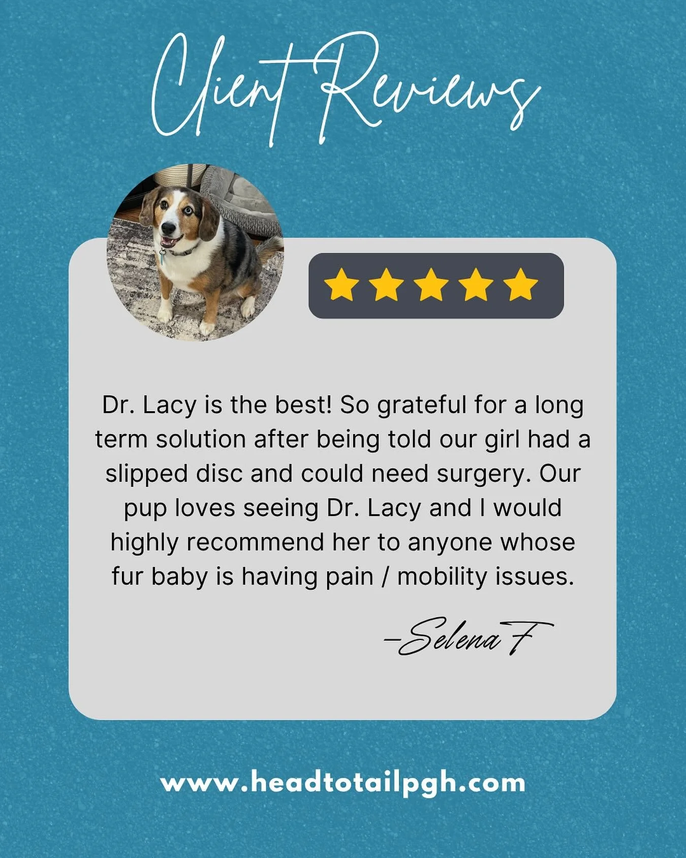 The possibility of surgery can always be scary for a pet owner. We are so happy this sweet girl did better with chiropractic care and didn&rsquo;t need to have surgery! 

After the relief stage of care, wellness care can help keep your pet moving and