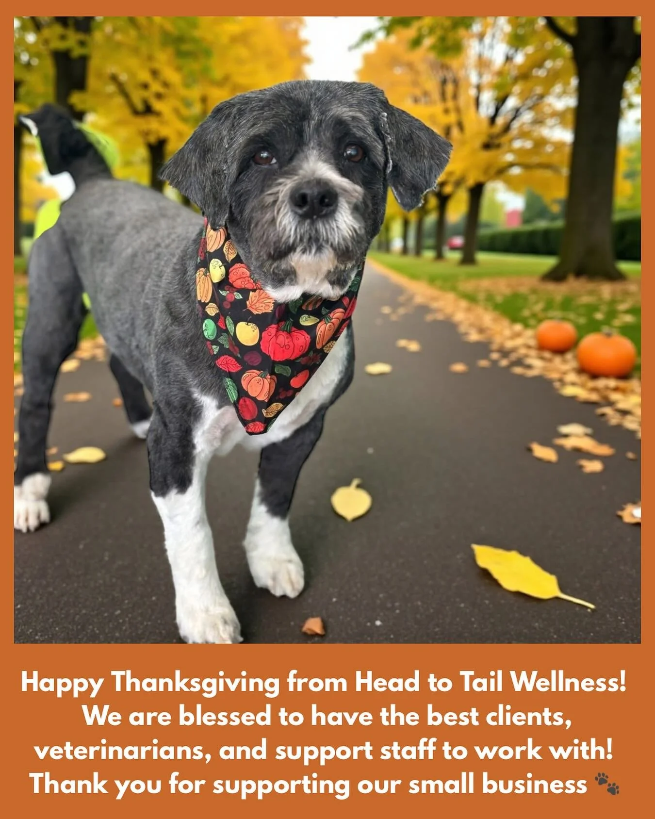 Happy Thanksgiving! 🍁 Thank you for supporting us all these years! None of this is lost on us 🙏🏼🤎