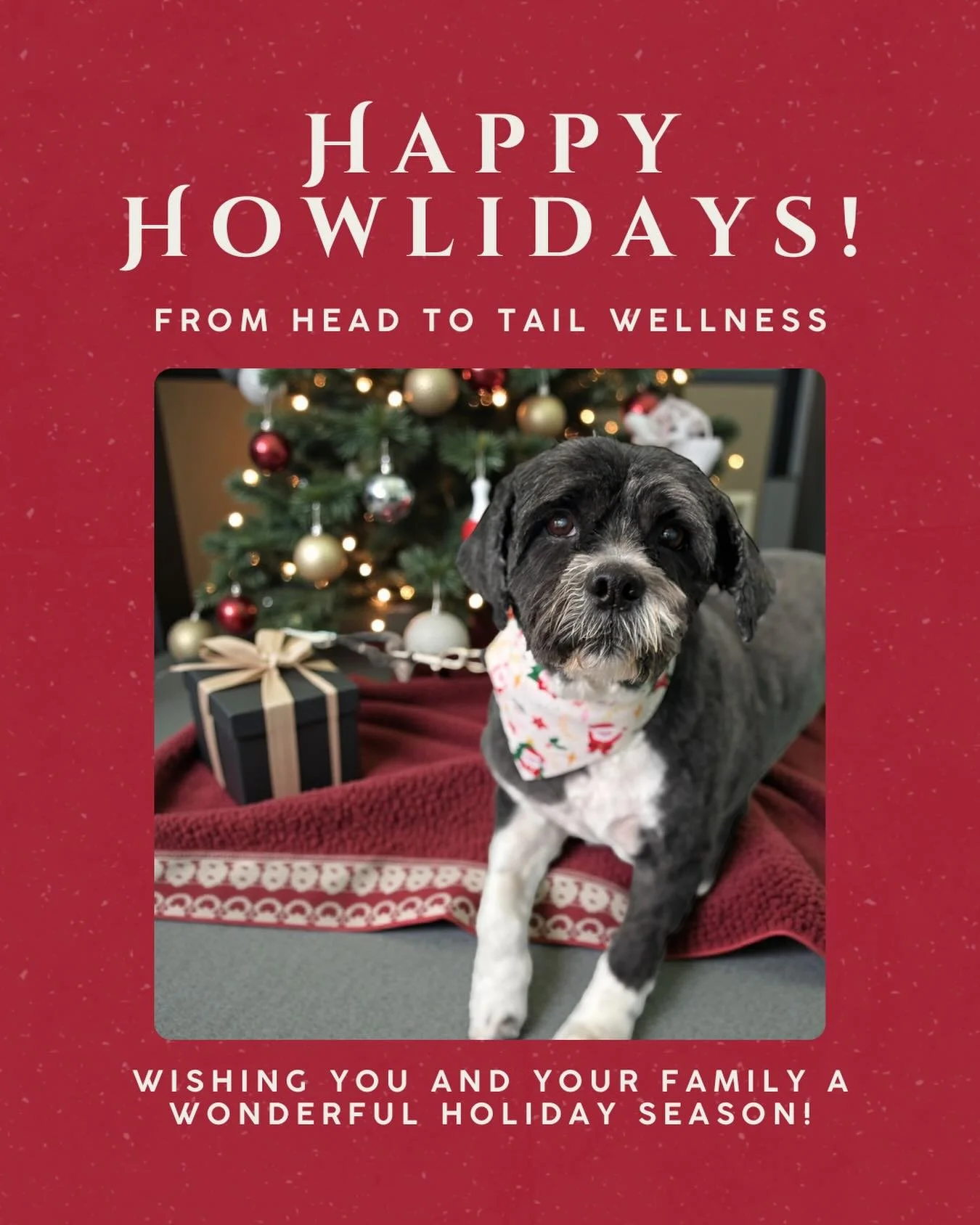 Happy Howlidays from Head to Tail Wellness 🐾❤️🎅🏼 We know you all have been good boys and girls this year! That means extra treats for everyone! 🍪🐱🐶