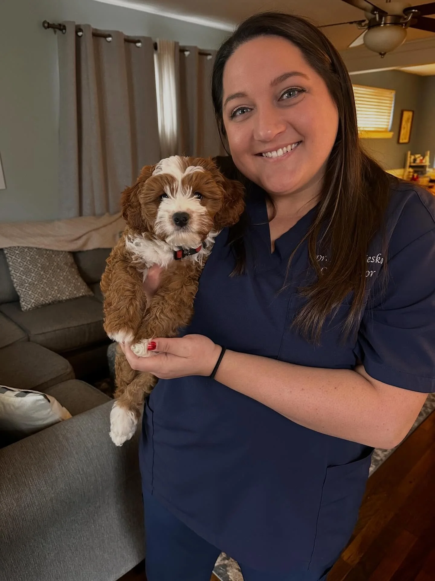 🐾 Why Should My Puppy See a Chiropractor? 🐾

Puppies grow fast&mdash;and just like human kids, their bodies go through a lot of changes along the way! Gentle chiropractic care during the early stages of life can help support proper alignment as pup