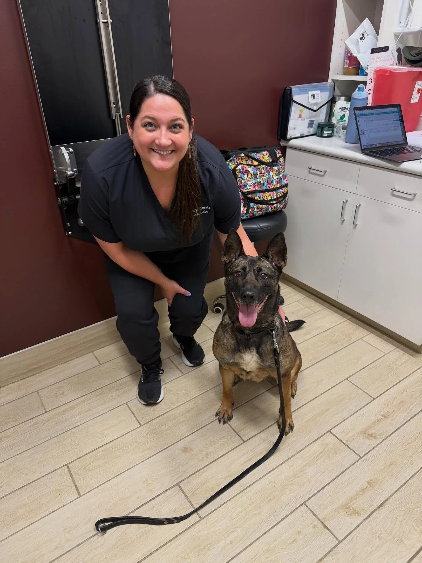 We love taking care of service dogs! 🐕&zwj;🦺 🐾  Meet K9 Moxie 🐕 #k9dogs #servicedog #performancedog