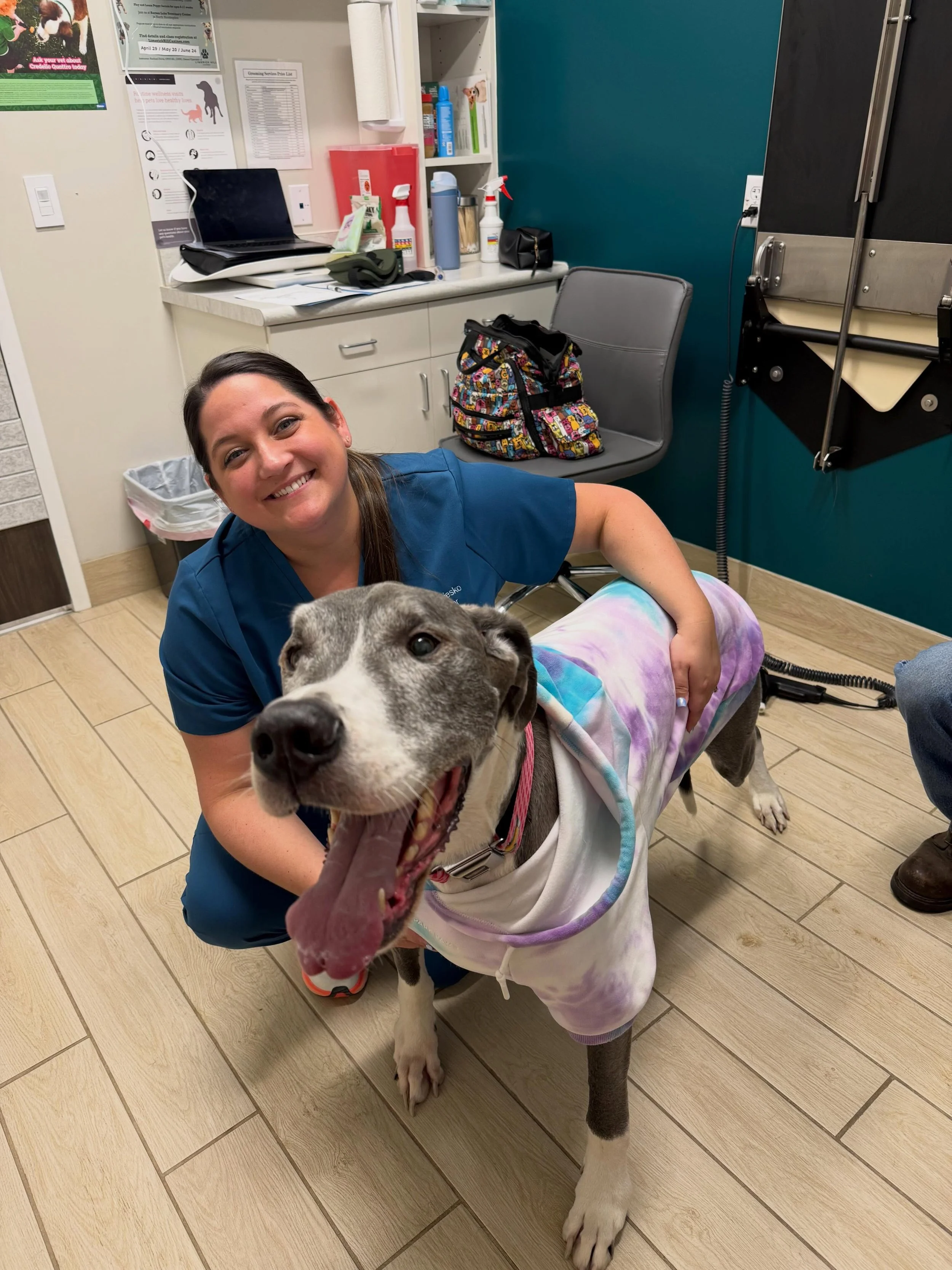 Meet Grace! She is a 9 year old Great Dane that was having weakness and knuckling in her left hind leg for about a month. Her veterinarian recommended trying chiropractic care. After one visit Grace&rsquo;s mom reported she was doing great and &ldquo