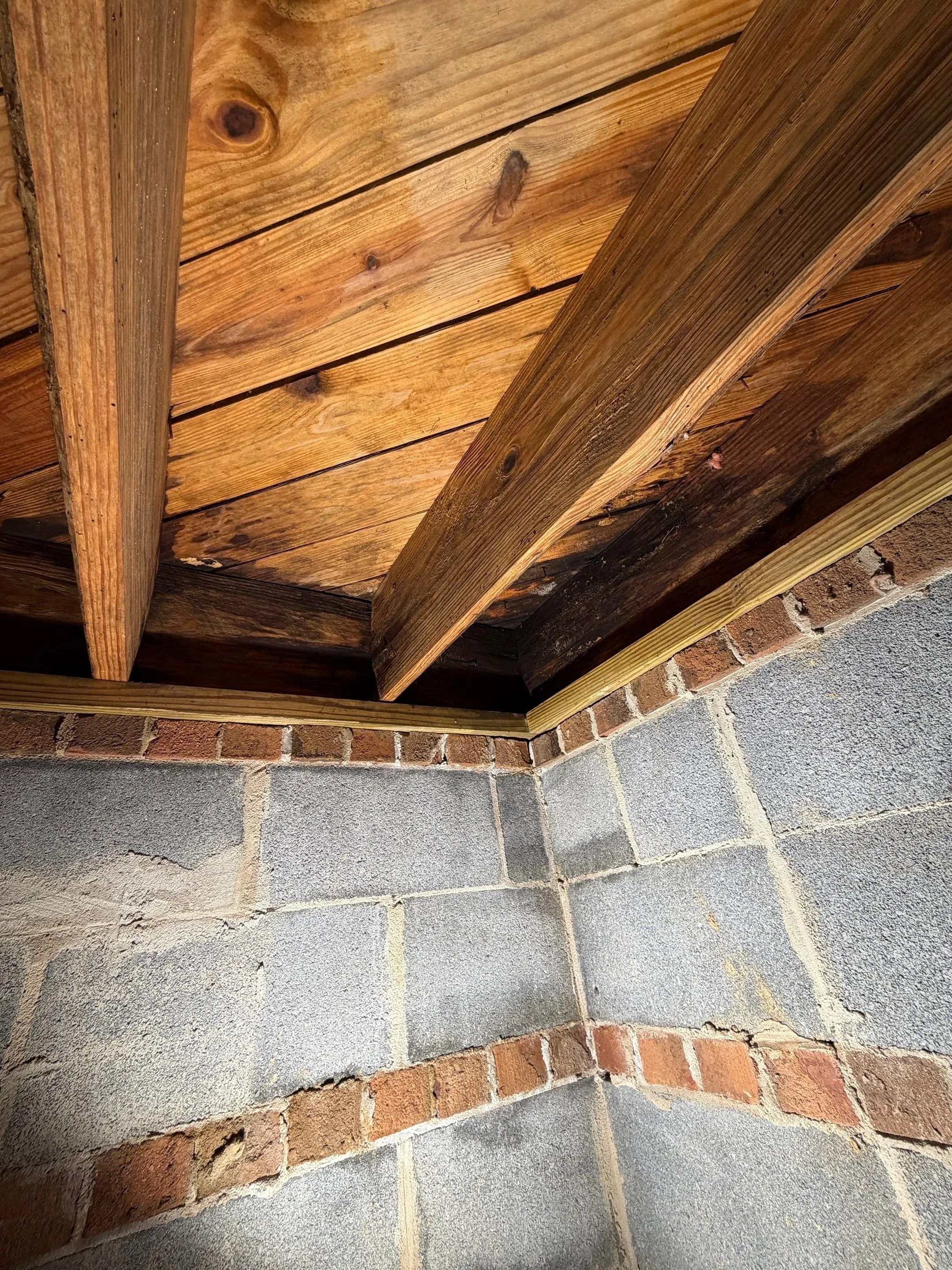 Mold Removal Crawlspace Project in Mt Gilead NC