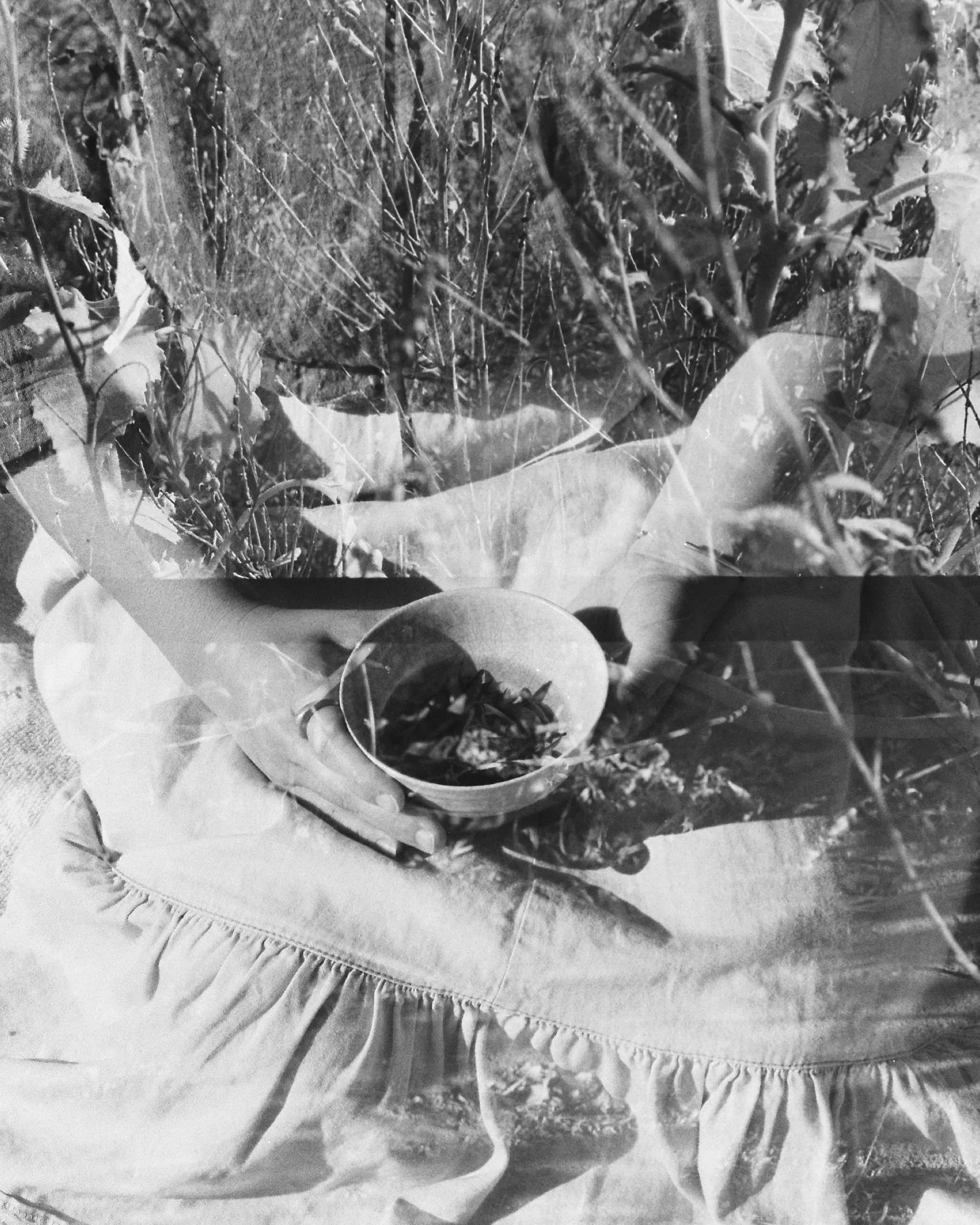 The Nature of Tea for @globalteahut 

Double exposed film of @gentlegaia drinking leaves in a bowl 🍃