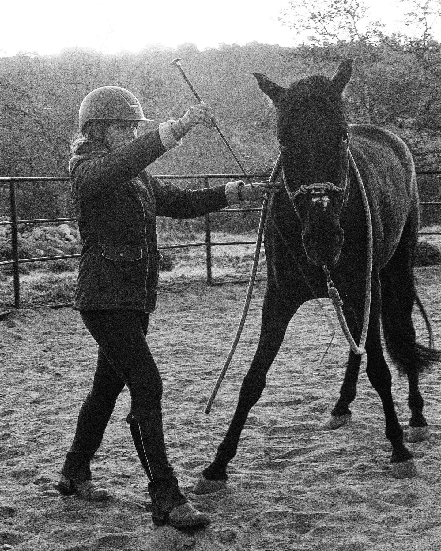 The beauty of true connection 💫

Branding Session
With Ruby in Ojai, CA
Shot on film