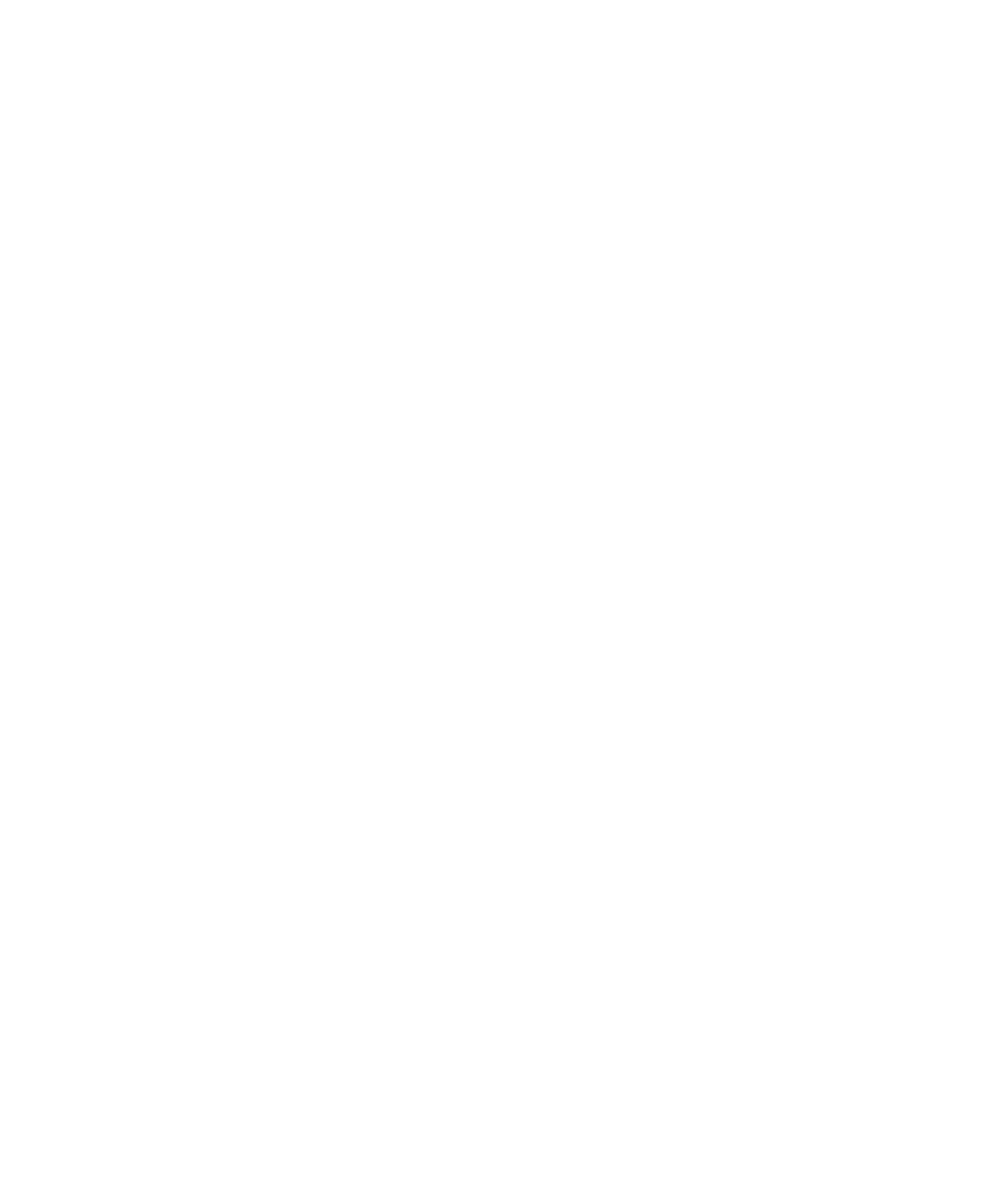 african mom.png