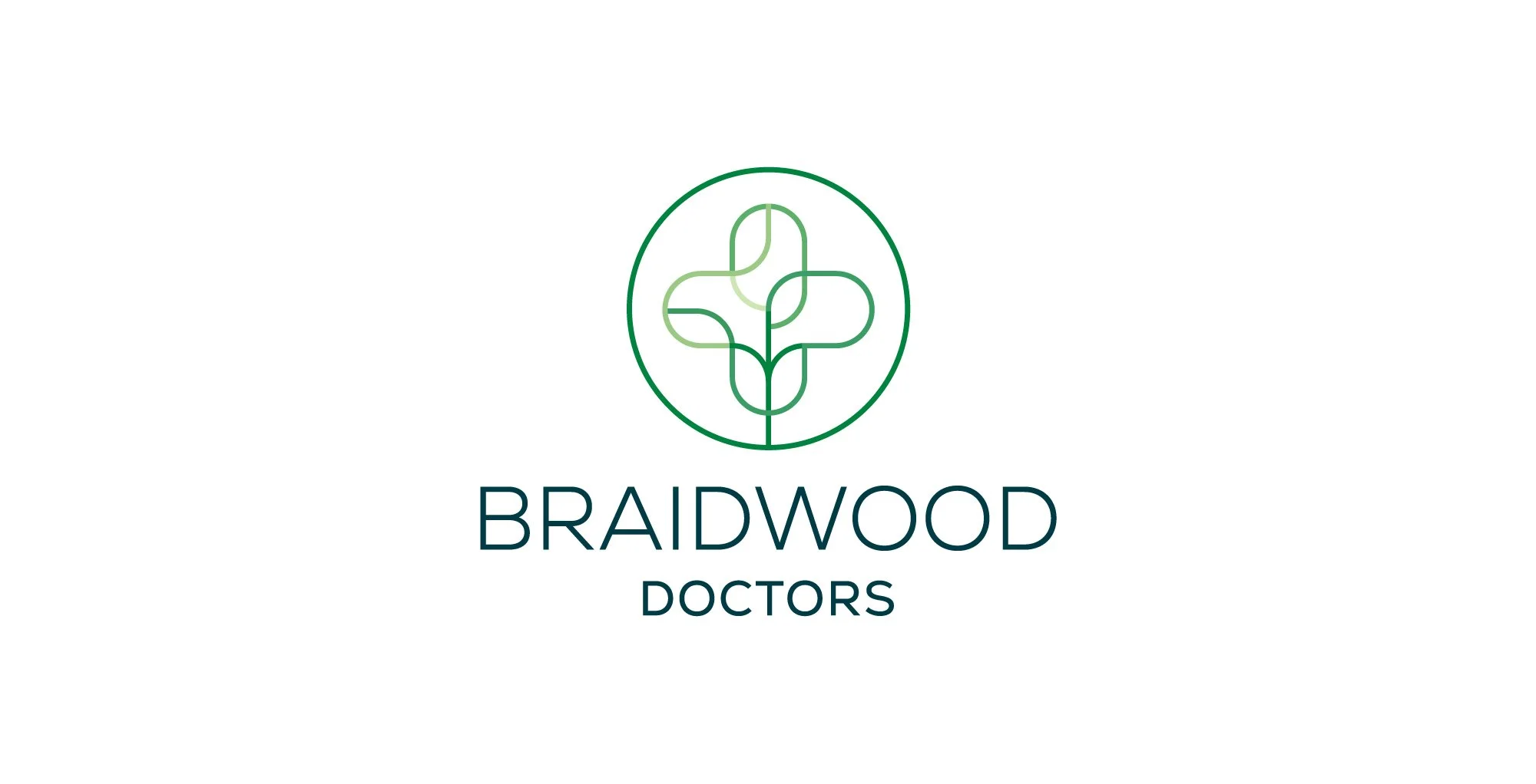 Braidwood_Logo-Mock-Web.jpg