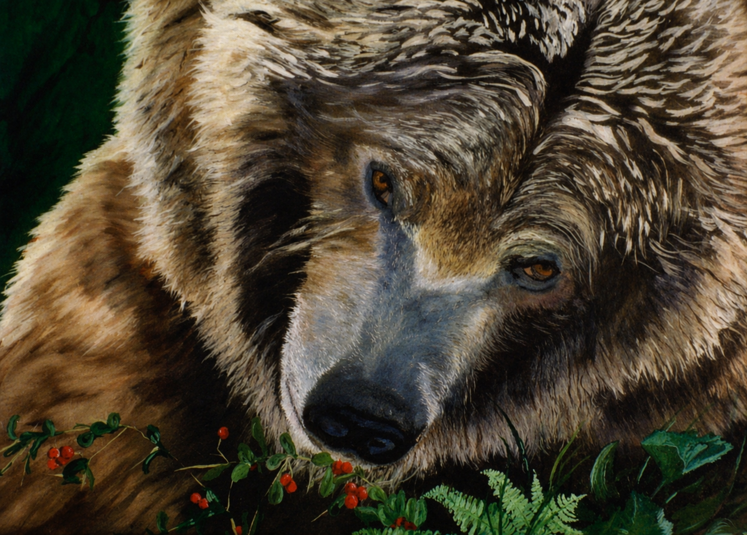 Grizzly Bear - Gentle Giant.png