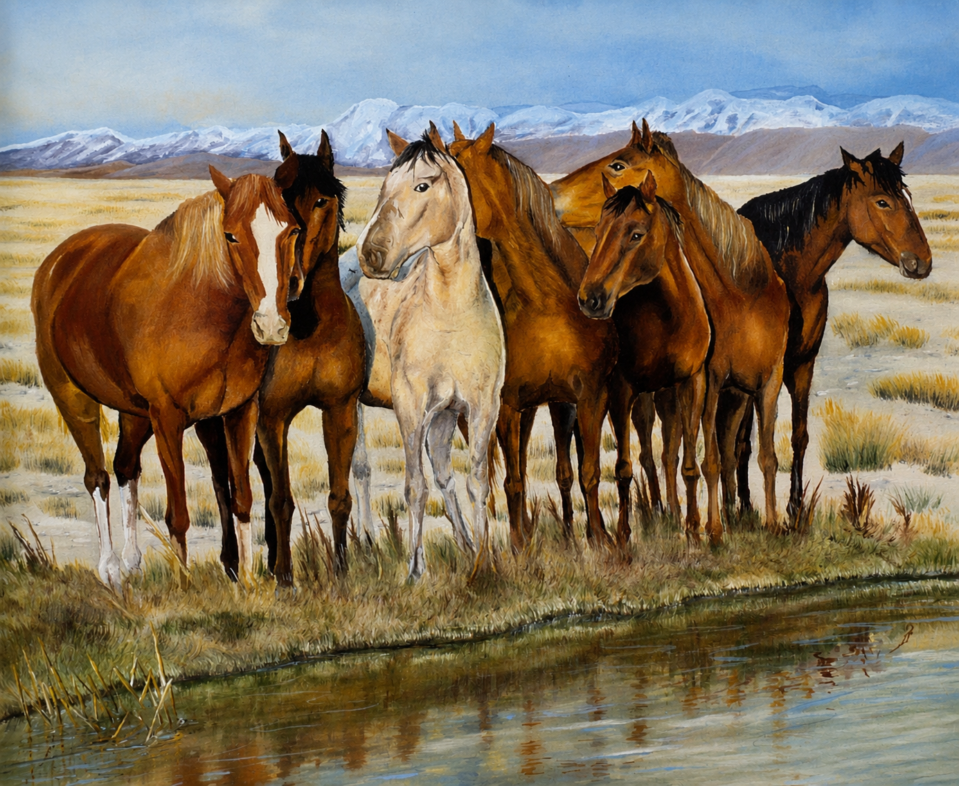 Wild Horses - Don't Fence Me In