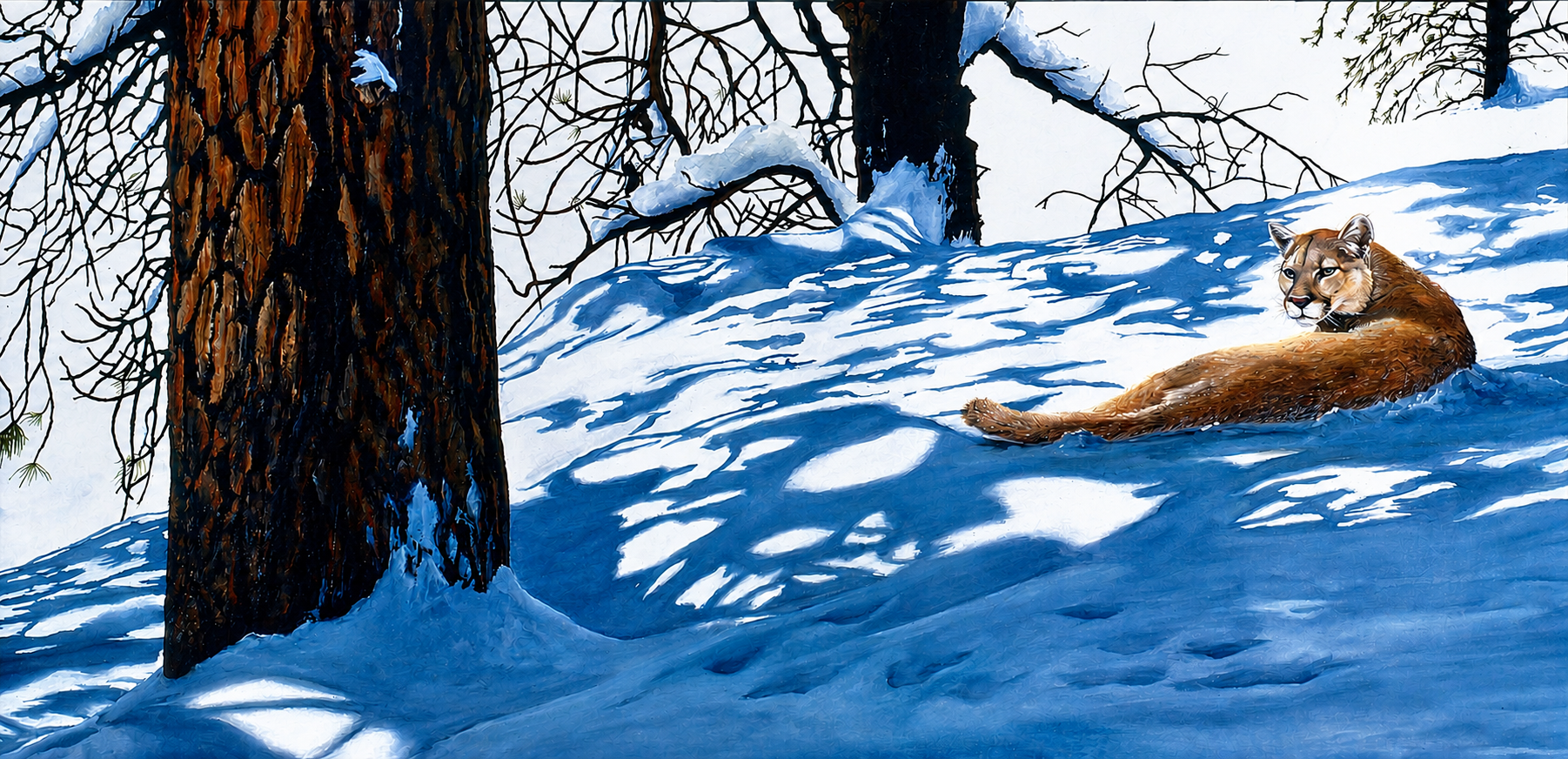 Cougar - Mountain Shadows.png