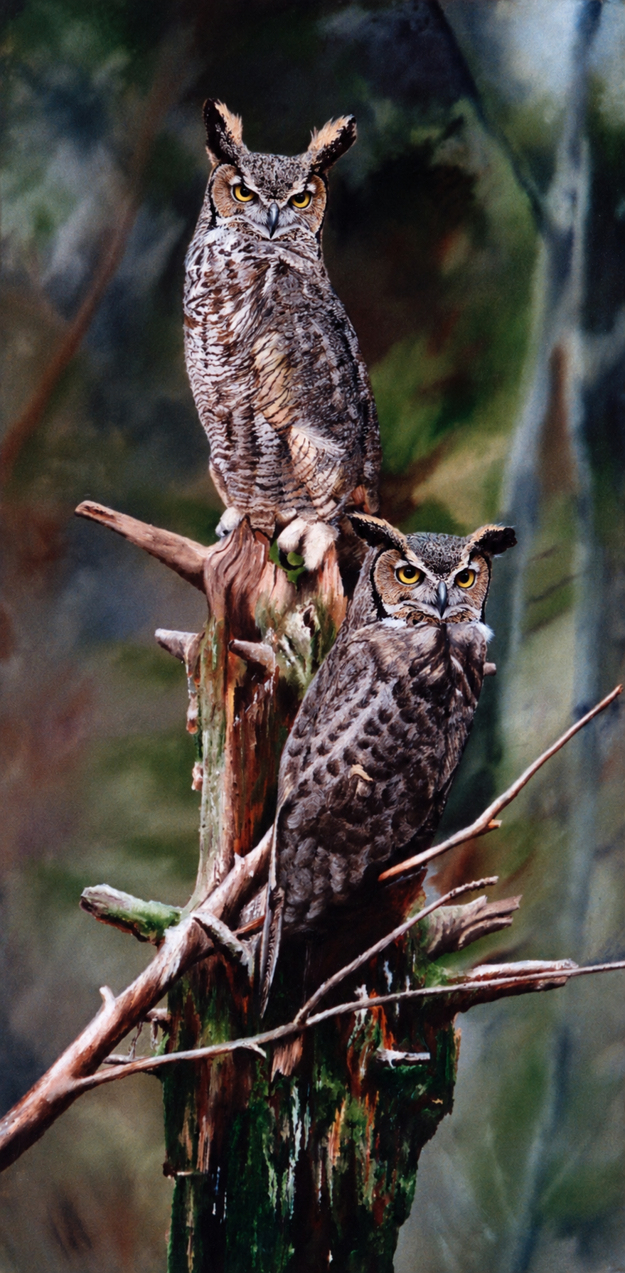 Great Horned Owls - The Watchers.png
